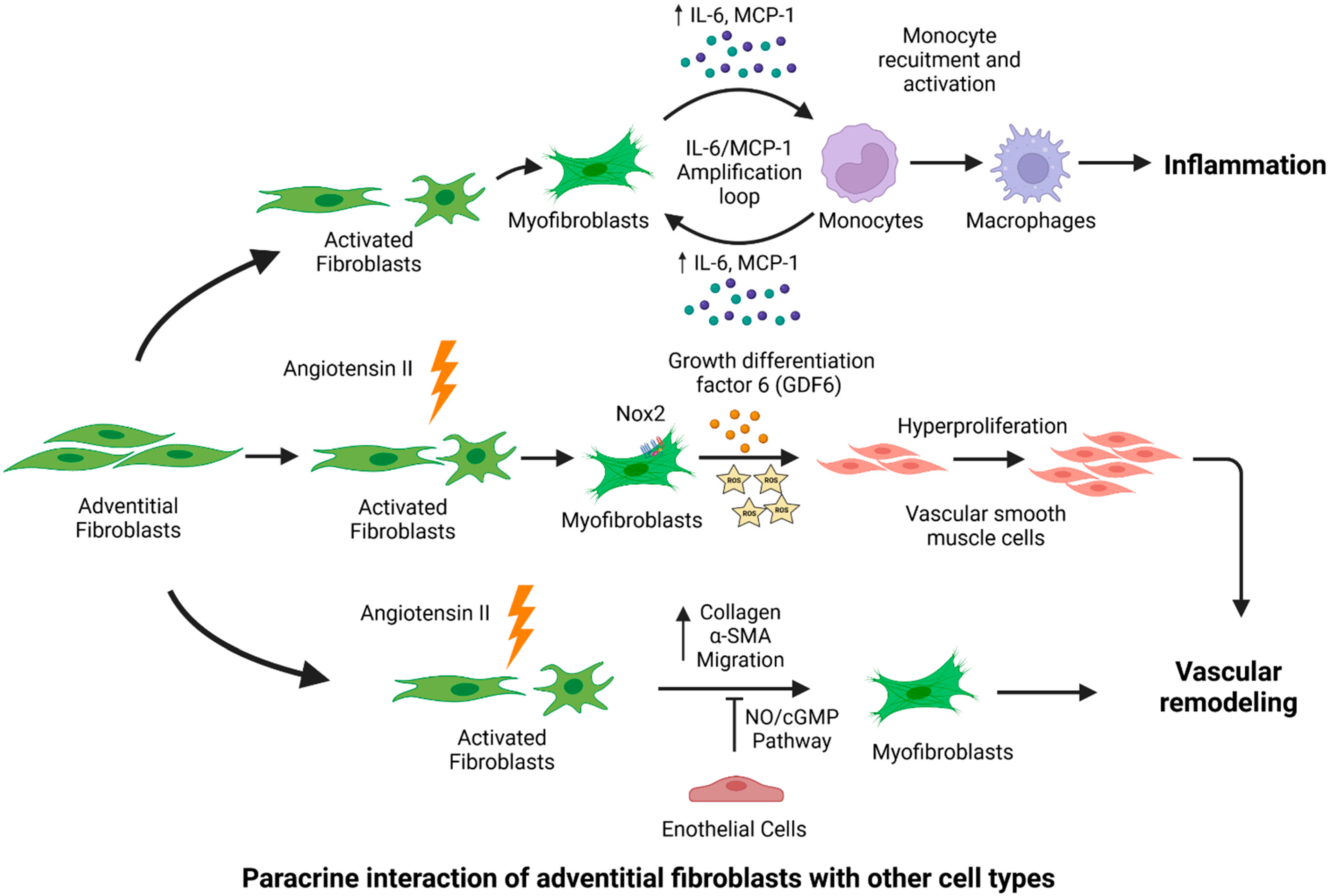 Diagnostics 12 00871 g003 Diagnostics 12 00871 g003
