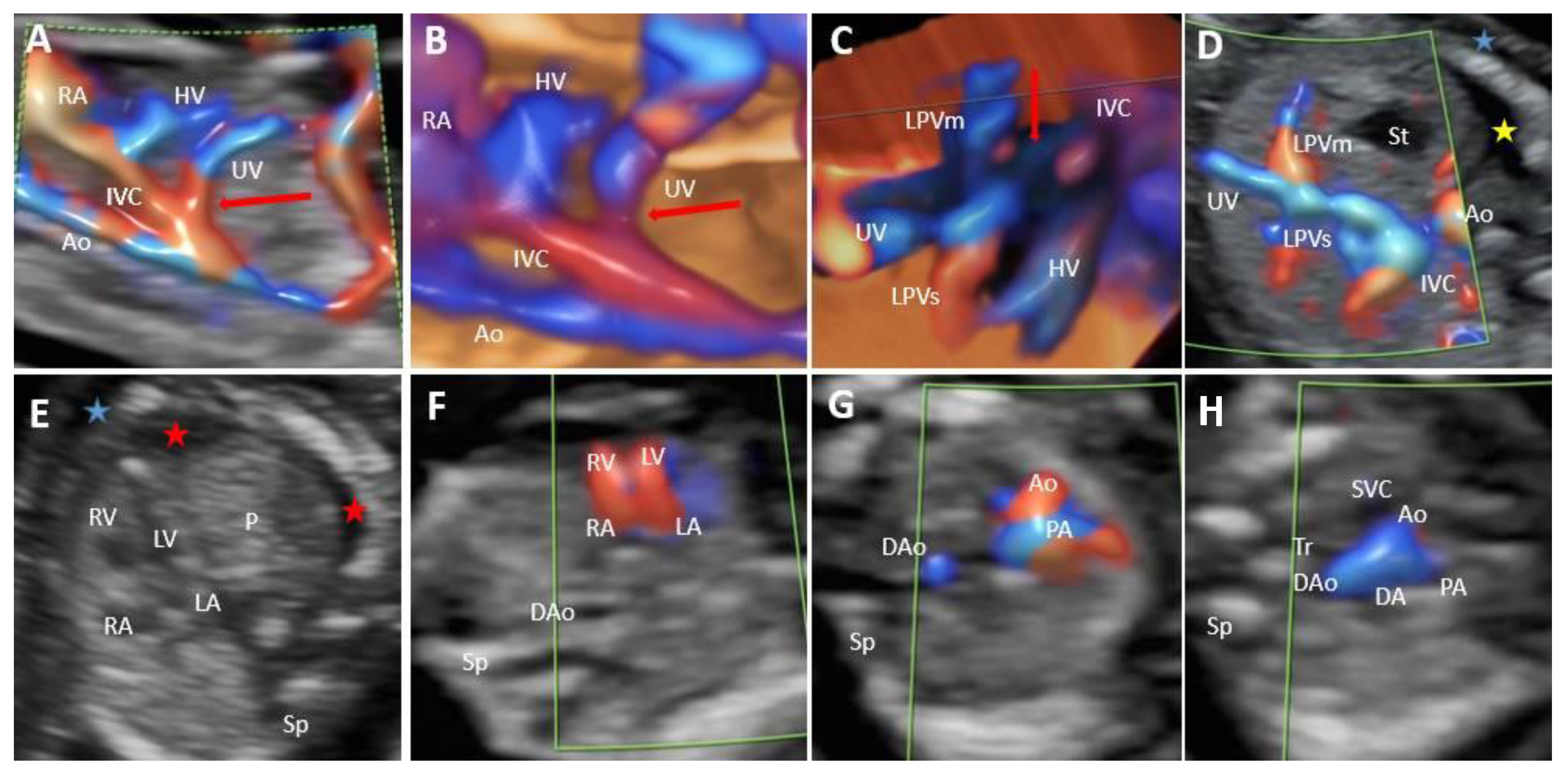 Diagnostics 12 00873 g002 550