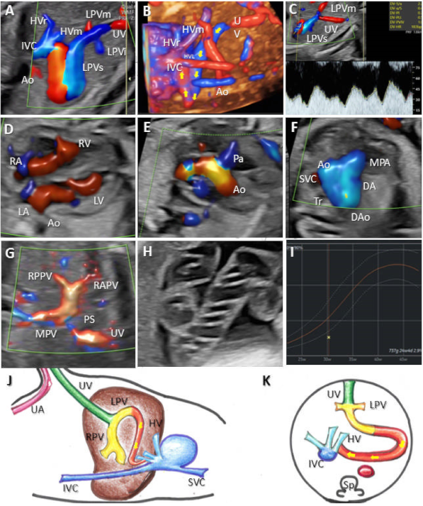 Diagnostics 12 00873 g005 550