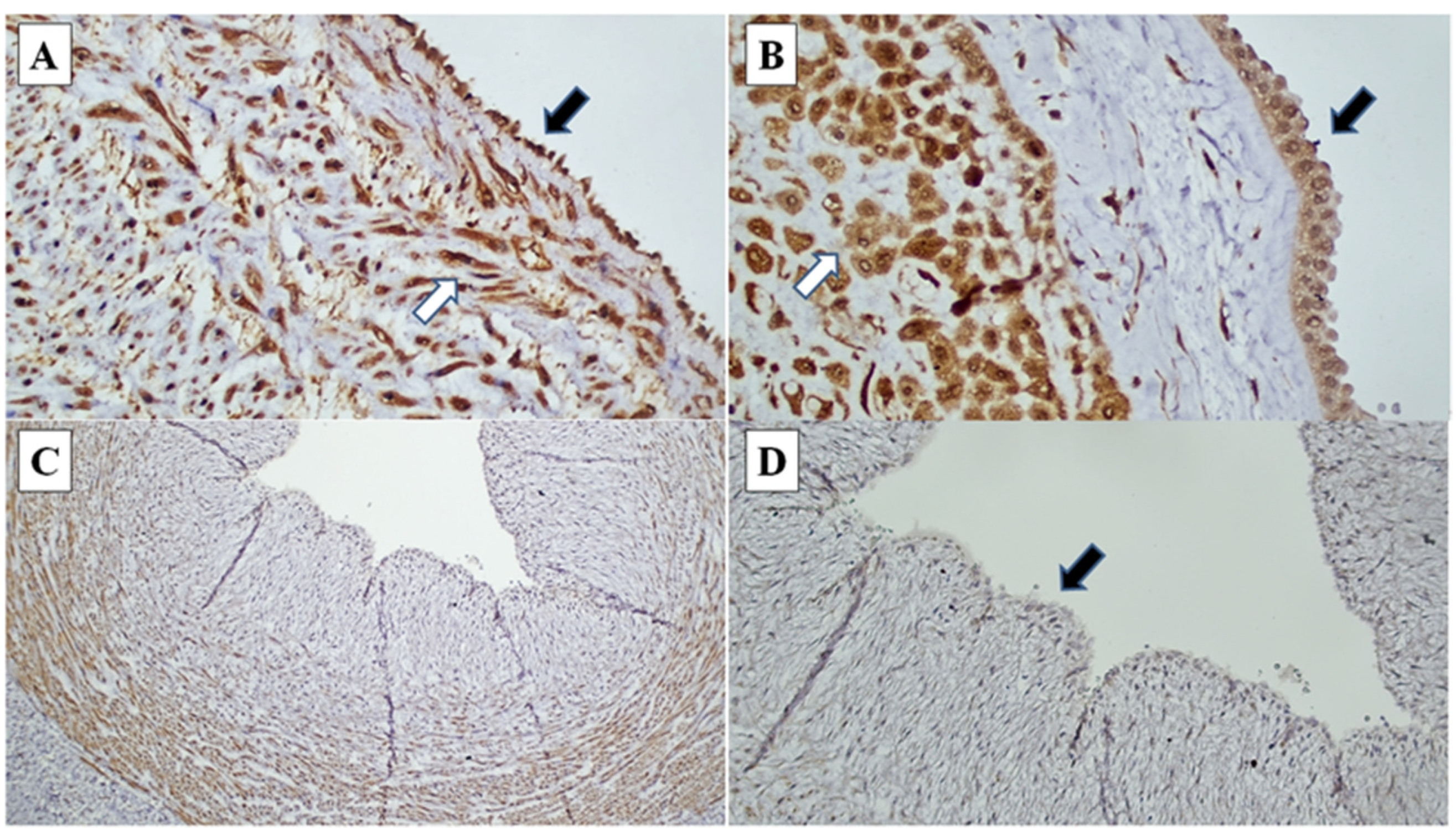 Diagnostics 12 00882 g002