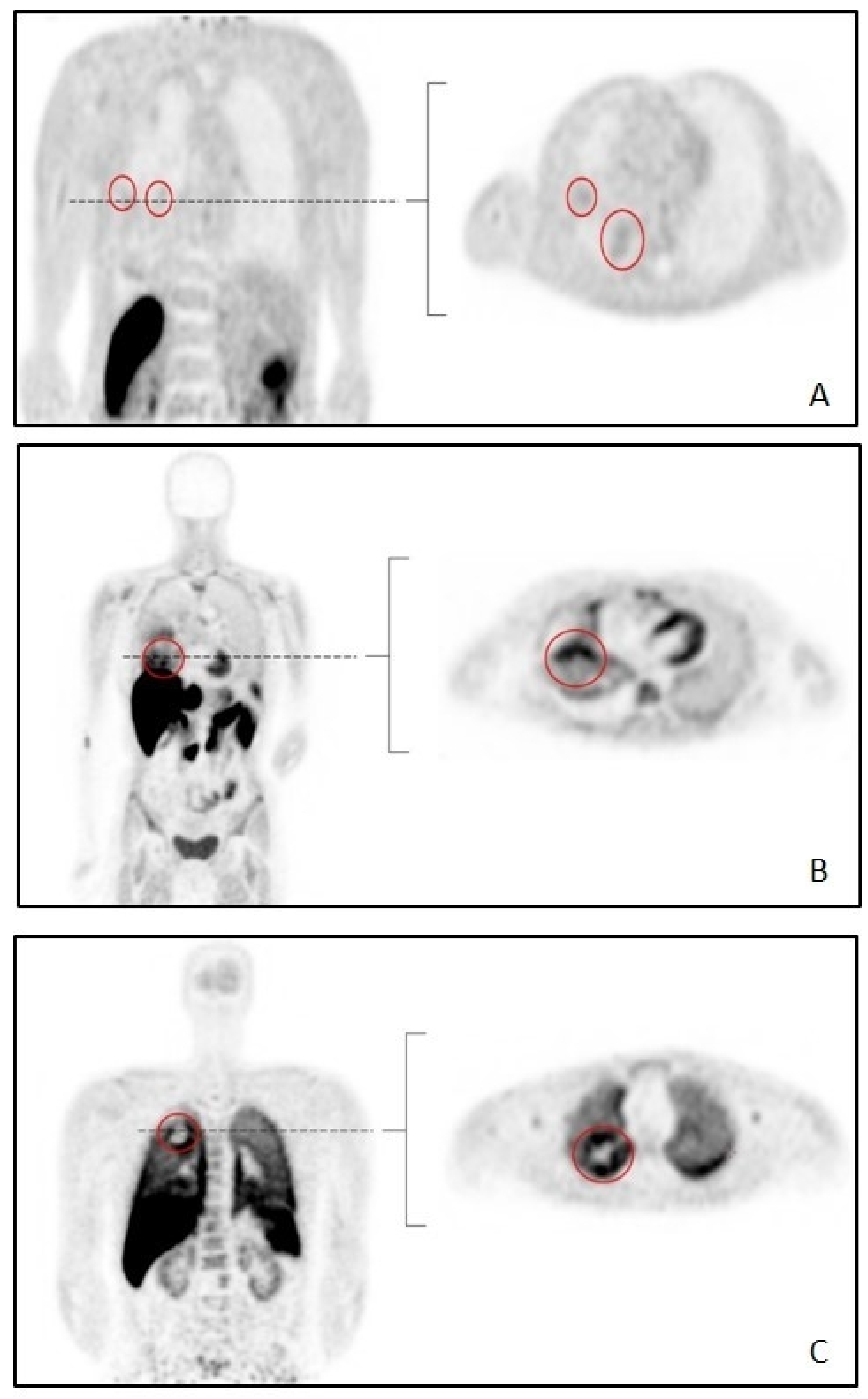 Diagnostics 12 00883 g001 Diagnostics 12 00883 g001