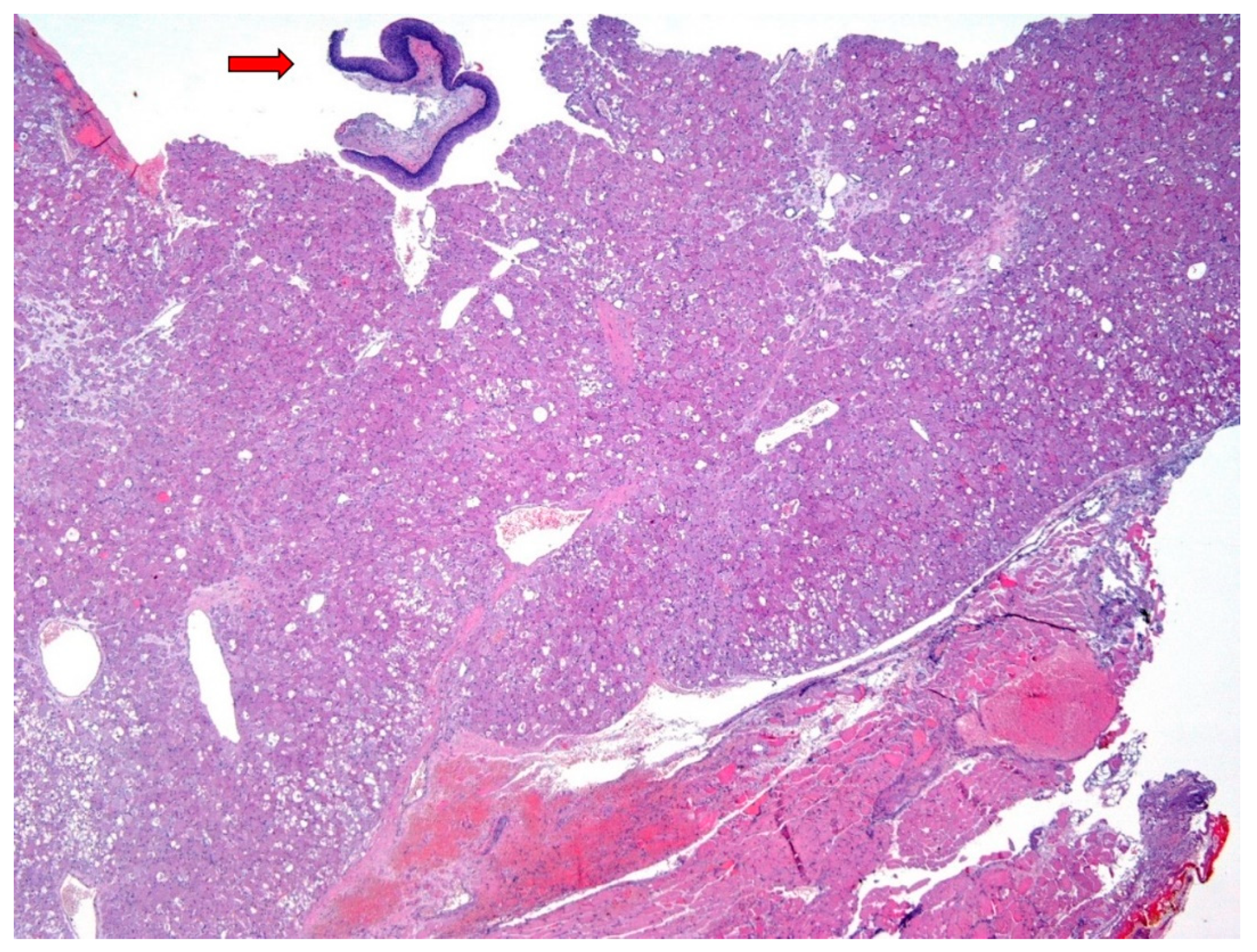 Diagnostics 12 00892 g002 Diagnostics 12 00892 g002