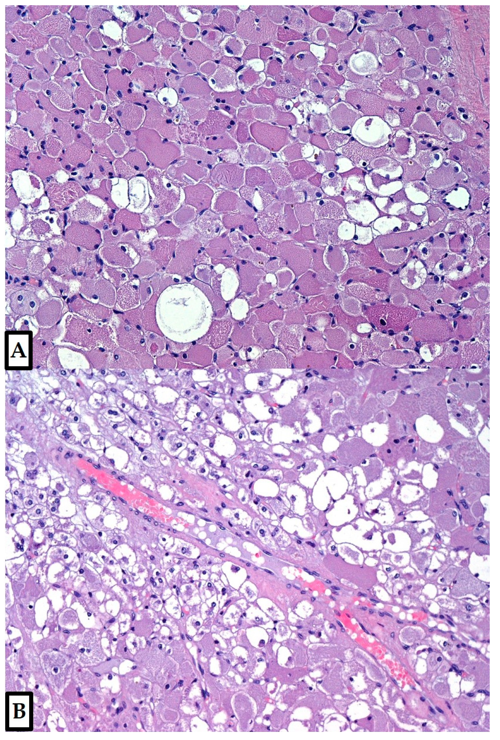 Diagnostics 12 00892 g003 Diagnostics 12 00892 g003