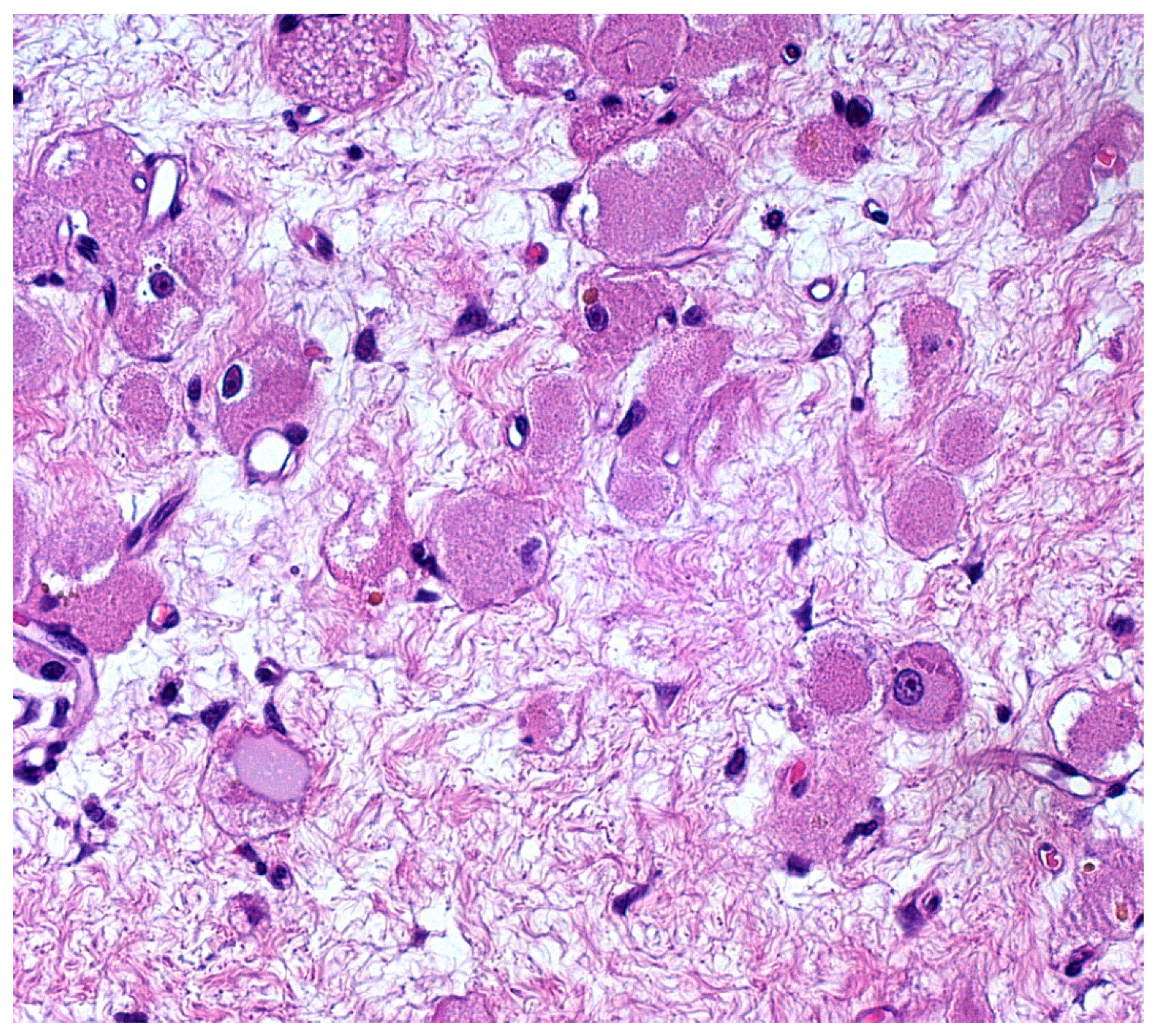 Diagnostics 12 00892 g004 Diagnostics 12 00892 g004