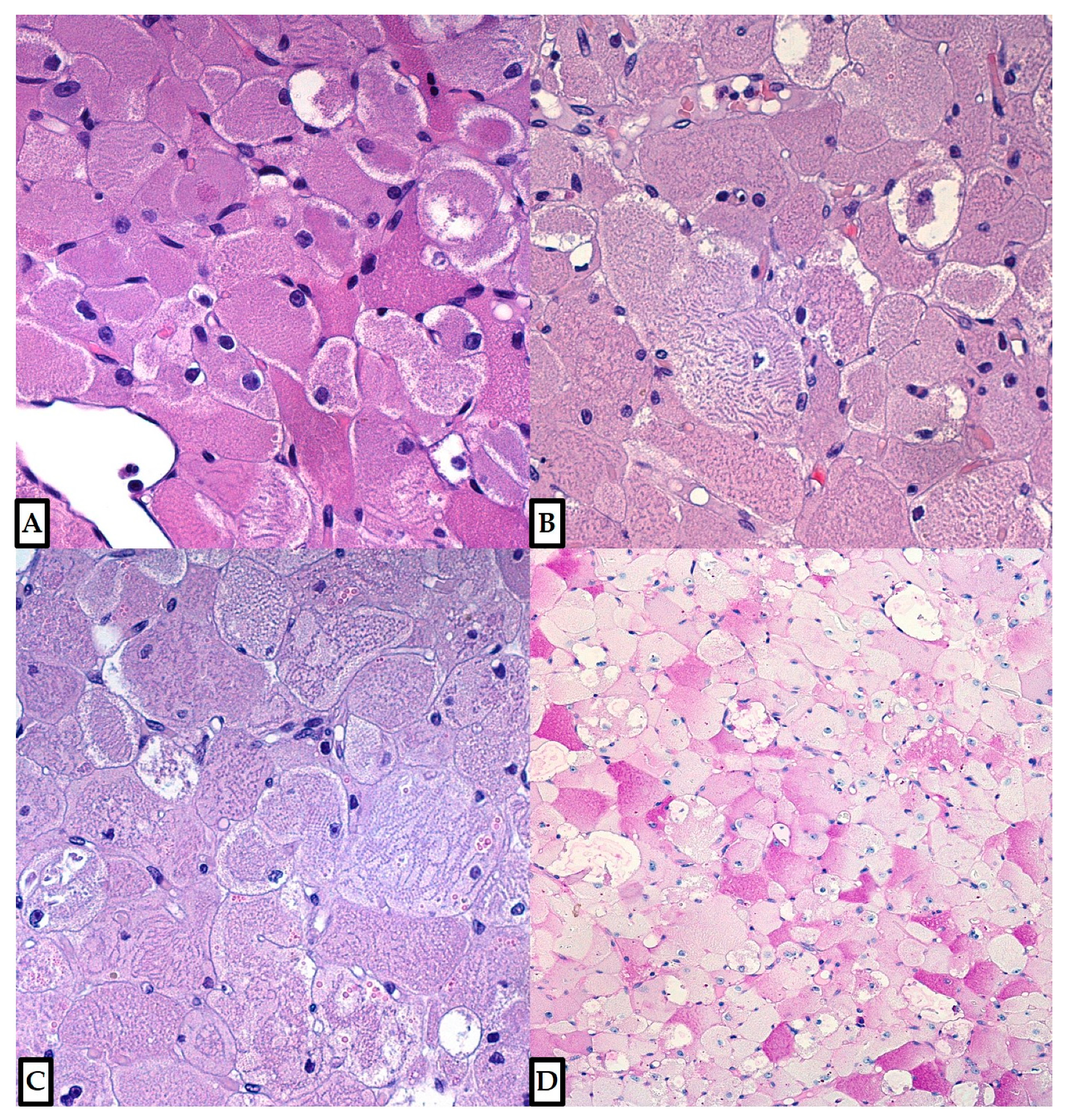 Diagnostics 12 00892 g005 Diagnostics 12 00892 g005