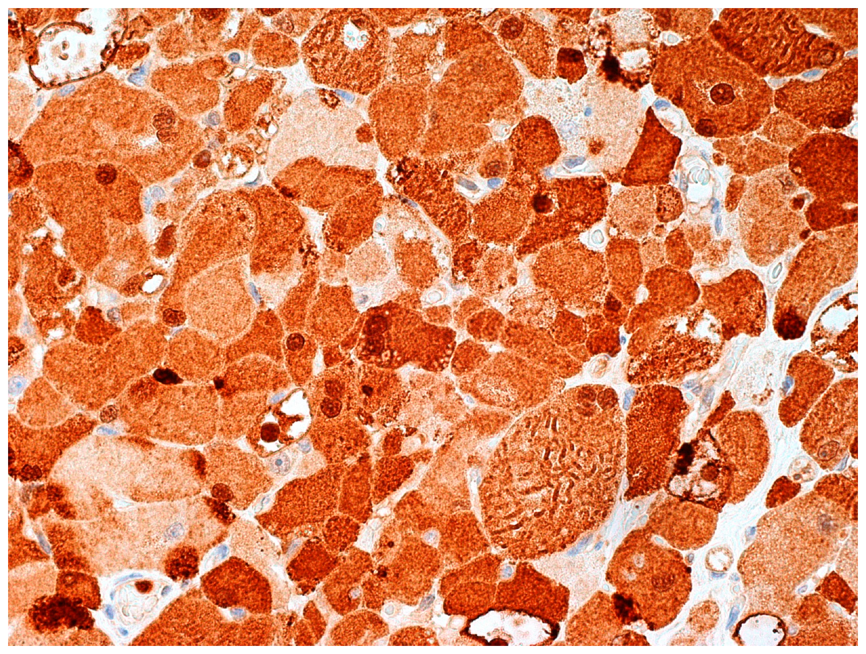 Diagnostics 12 00892 g006 Diagnostics 12 00892 g006