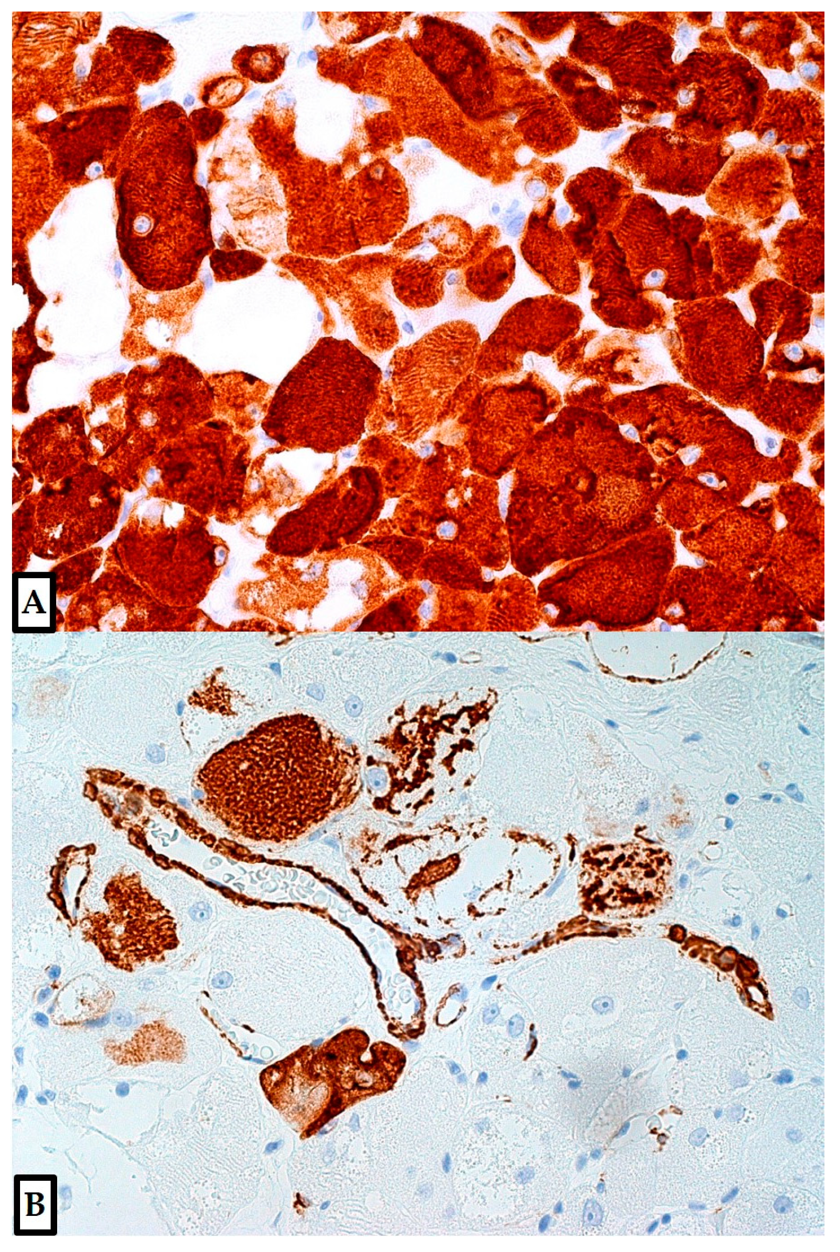 Diagnostics 12 00892 g007 Diagnostics 12 00892 g007