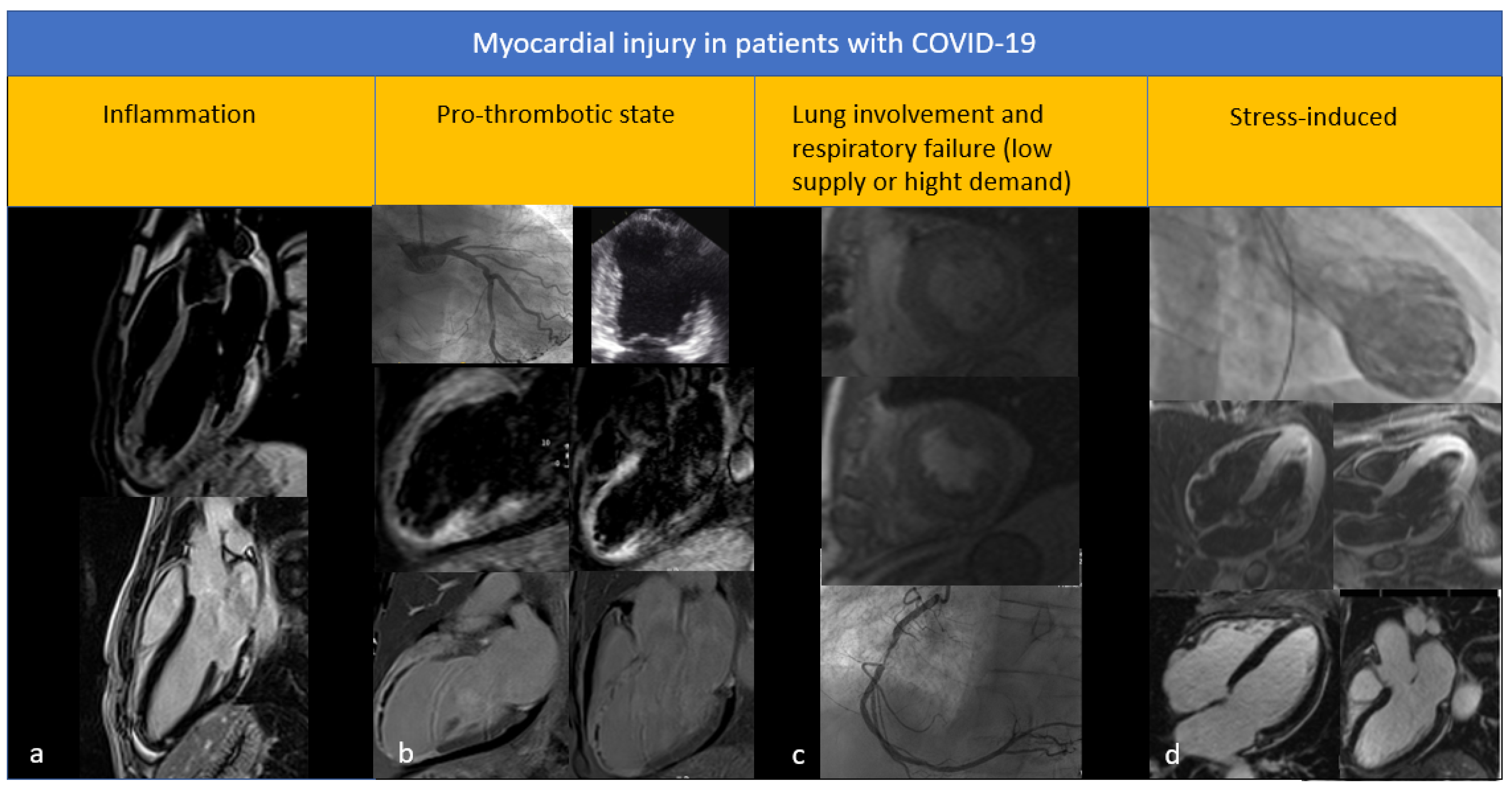 Diagnostics 12 00896 g001 550