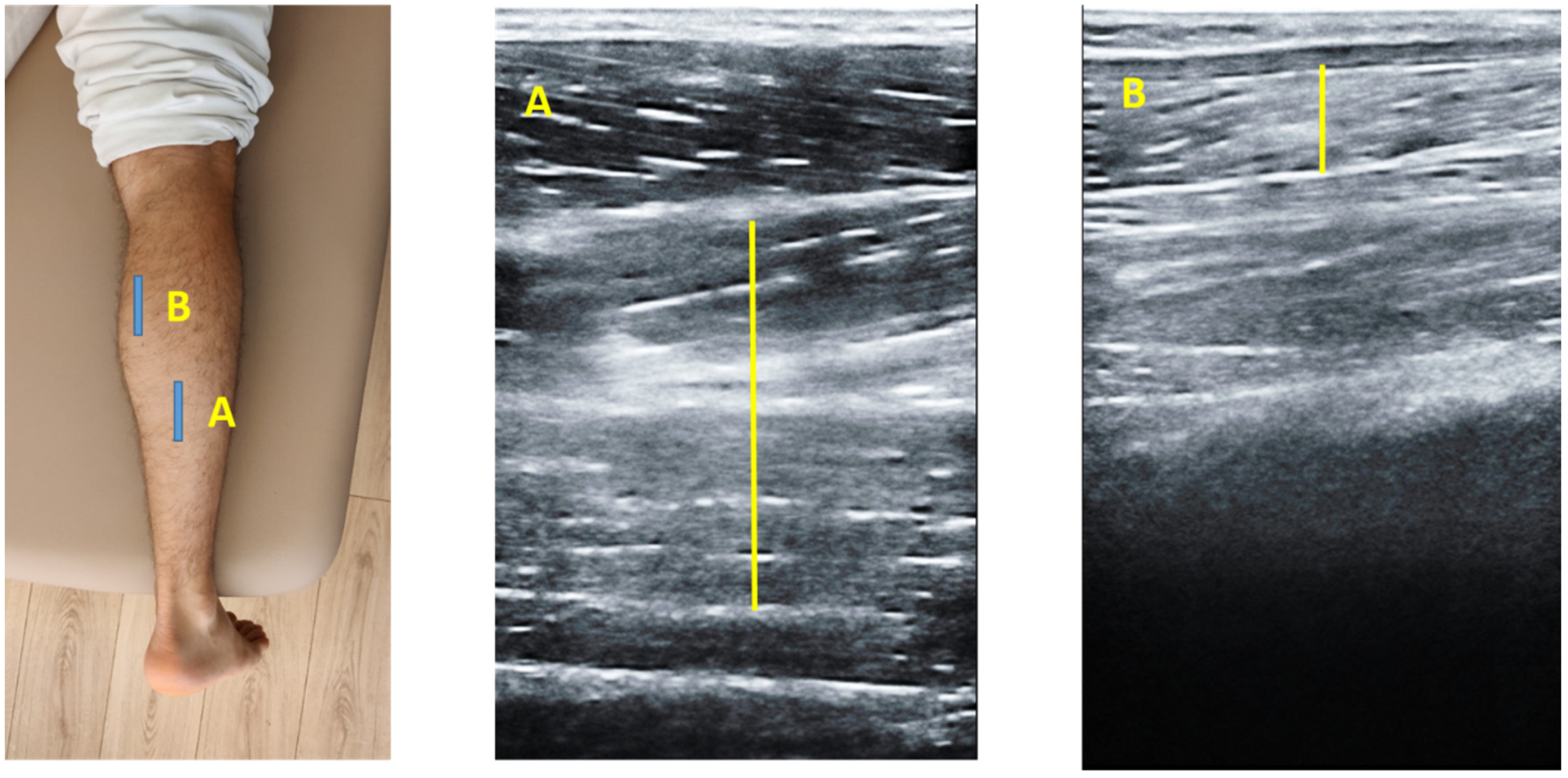 Diagnostics 12 00897 g002