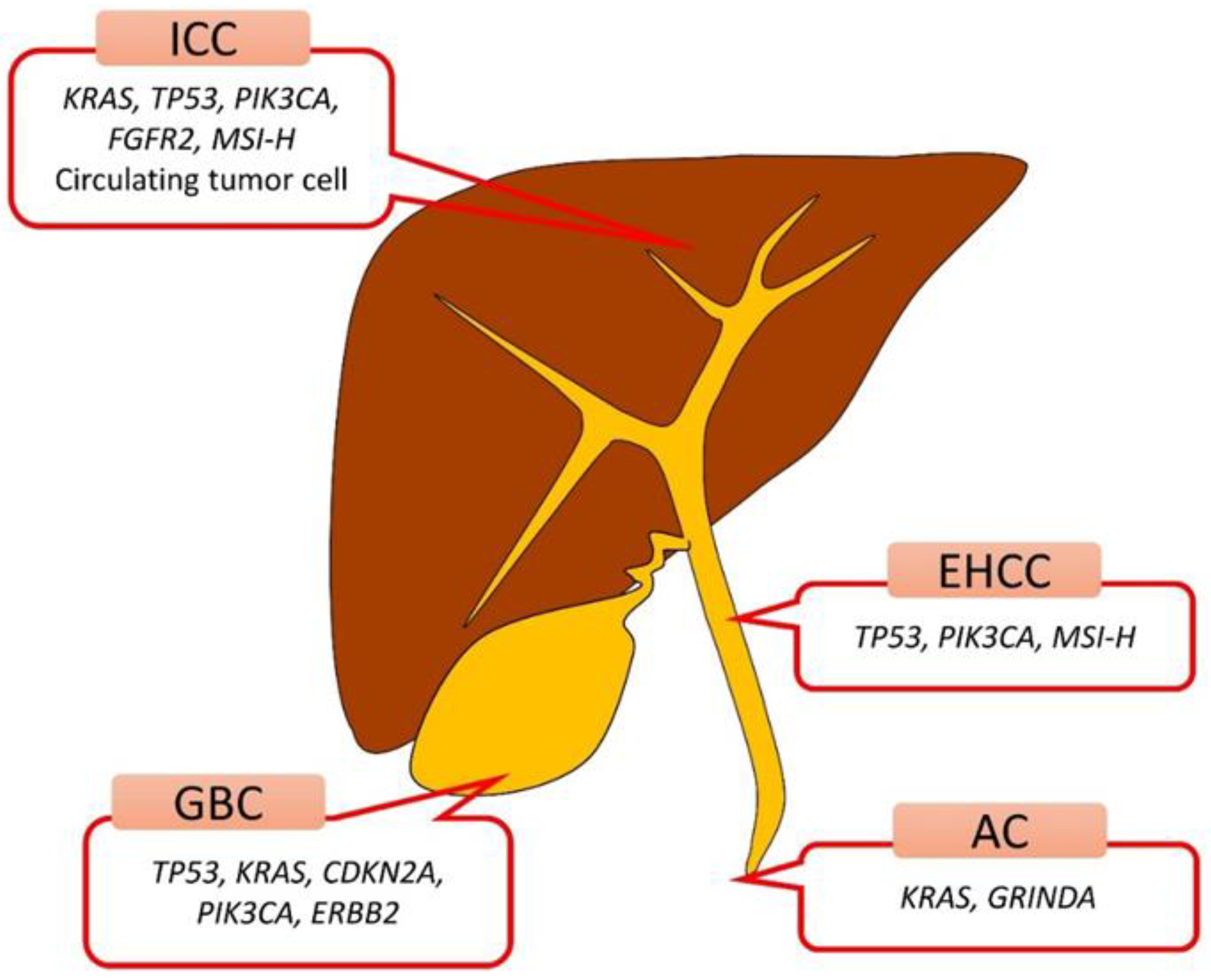 Diagnostics 12 00900 g001 Diagnostics 12 00900 g001