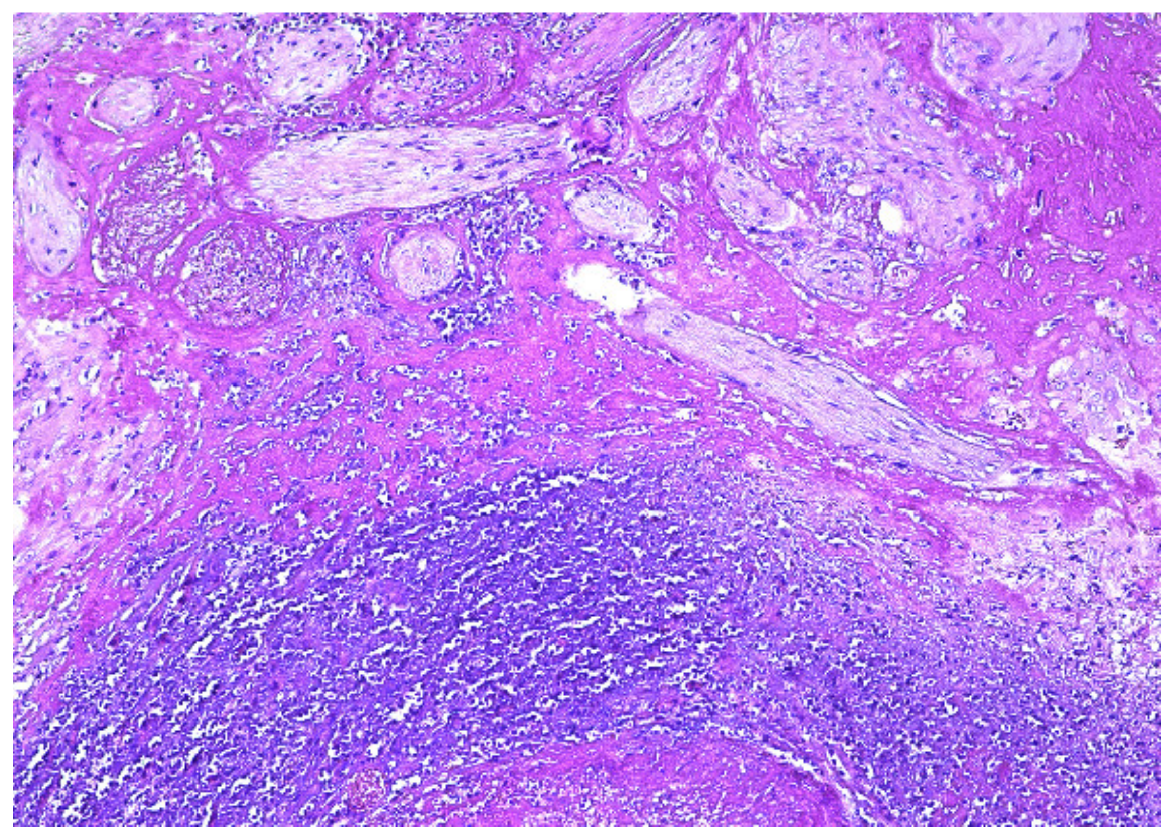 Diagnostics 12 00904 g006 Diagnostics 12 00904 g006