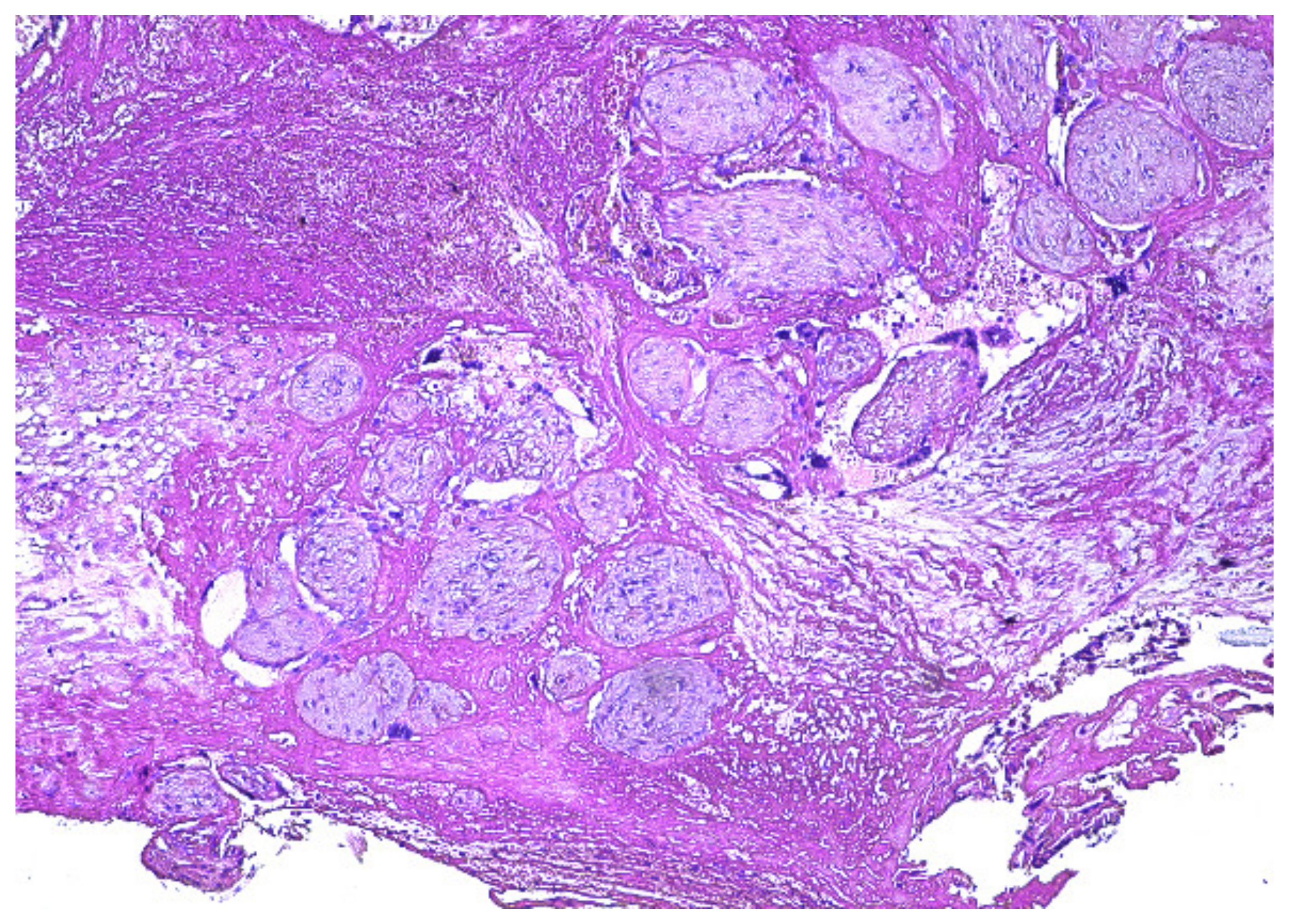 Diagnostics 12 00904 g007 Diagnostics 12 00904 g007