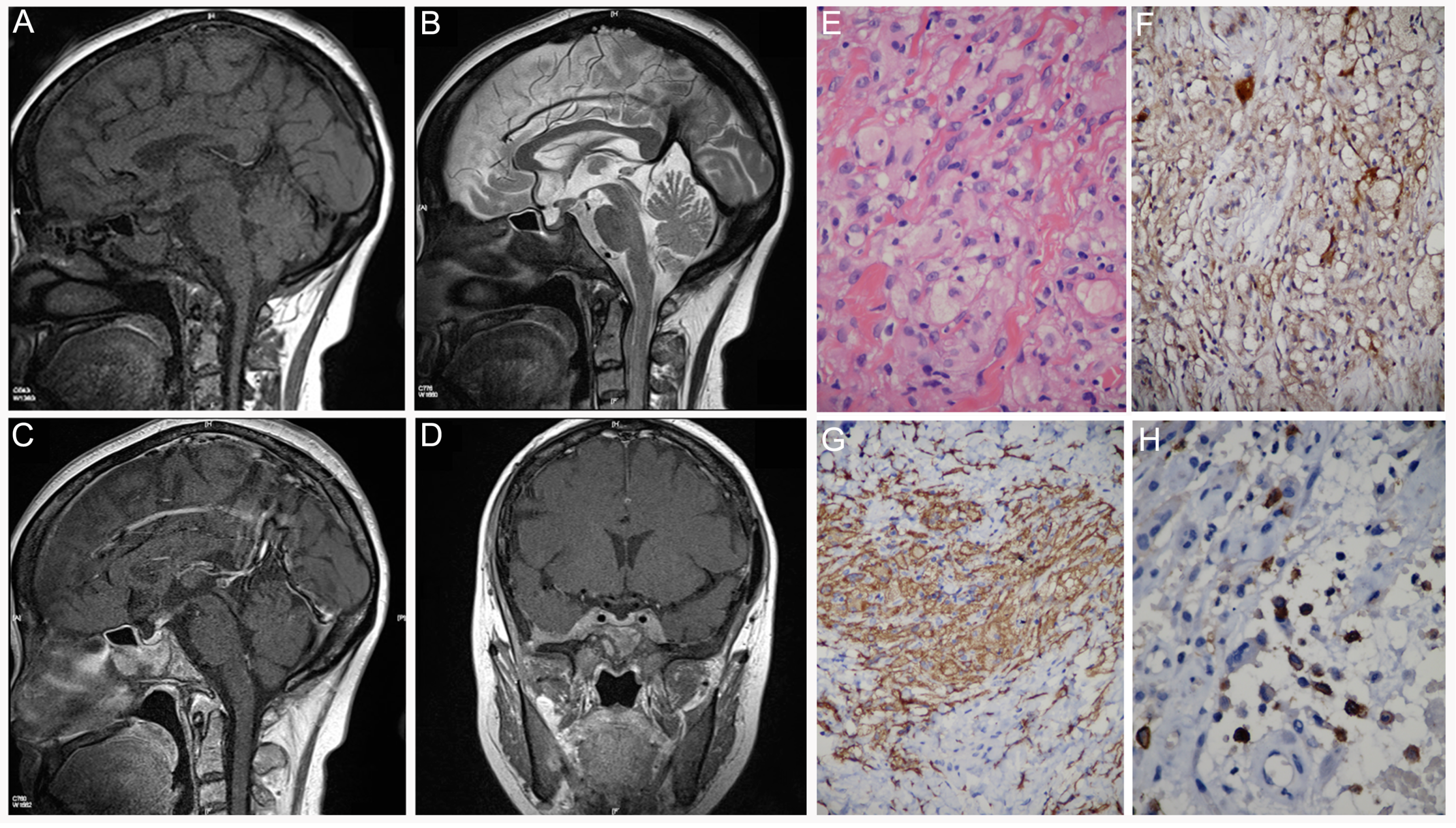 Diagnostics 12 00910 g009