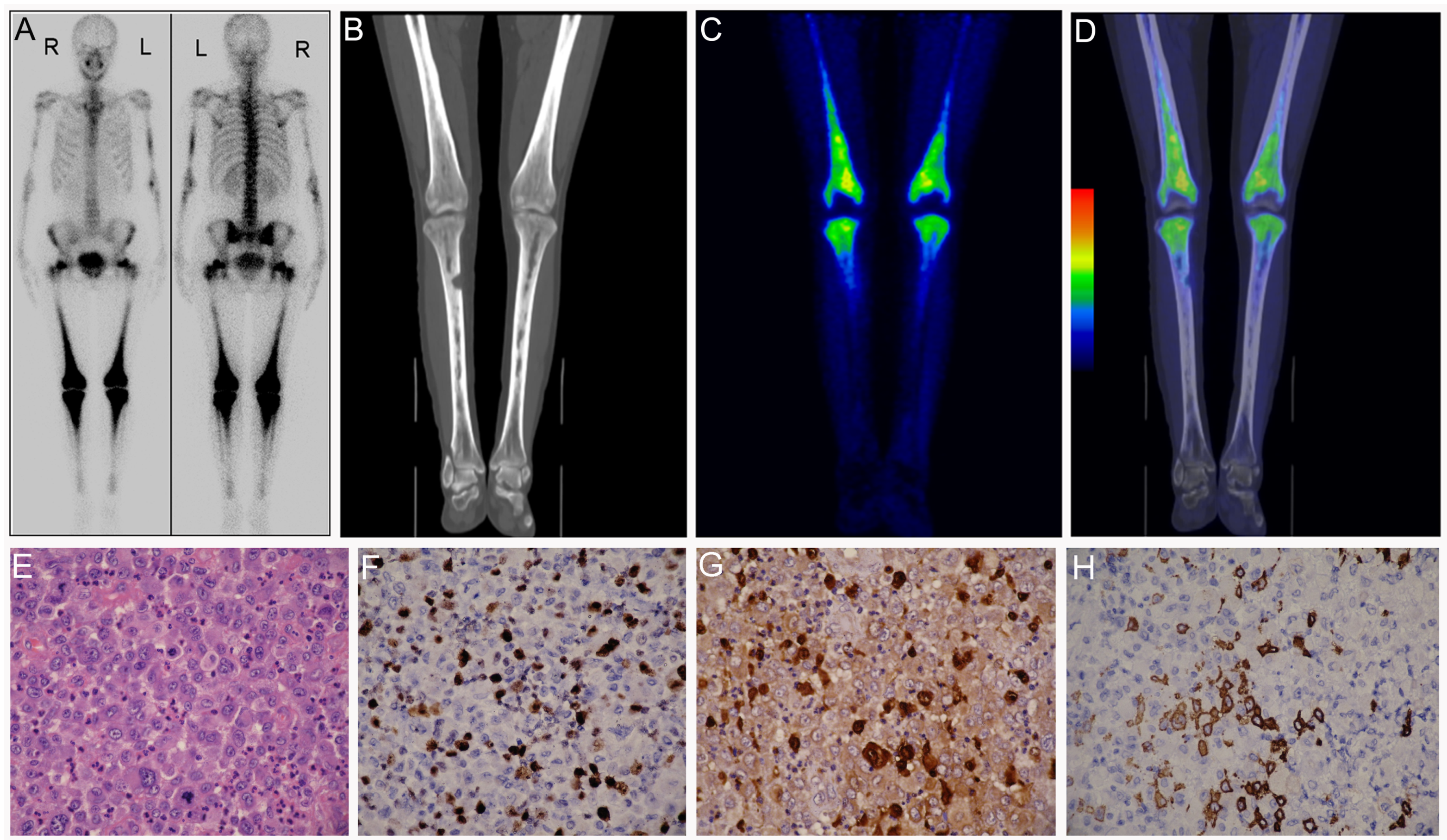 Diagnostics 12 00910 g010