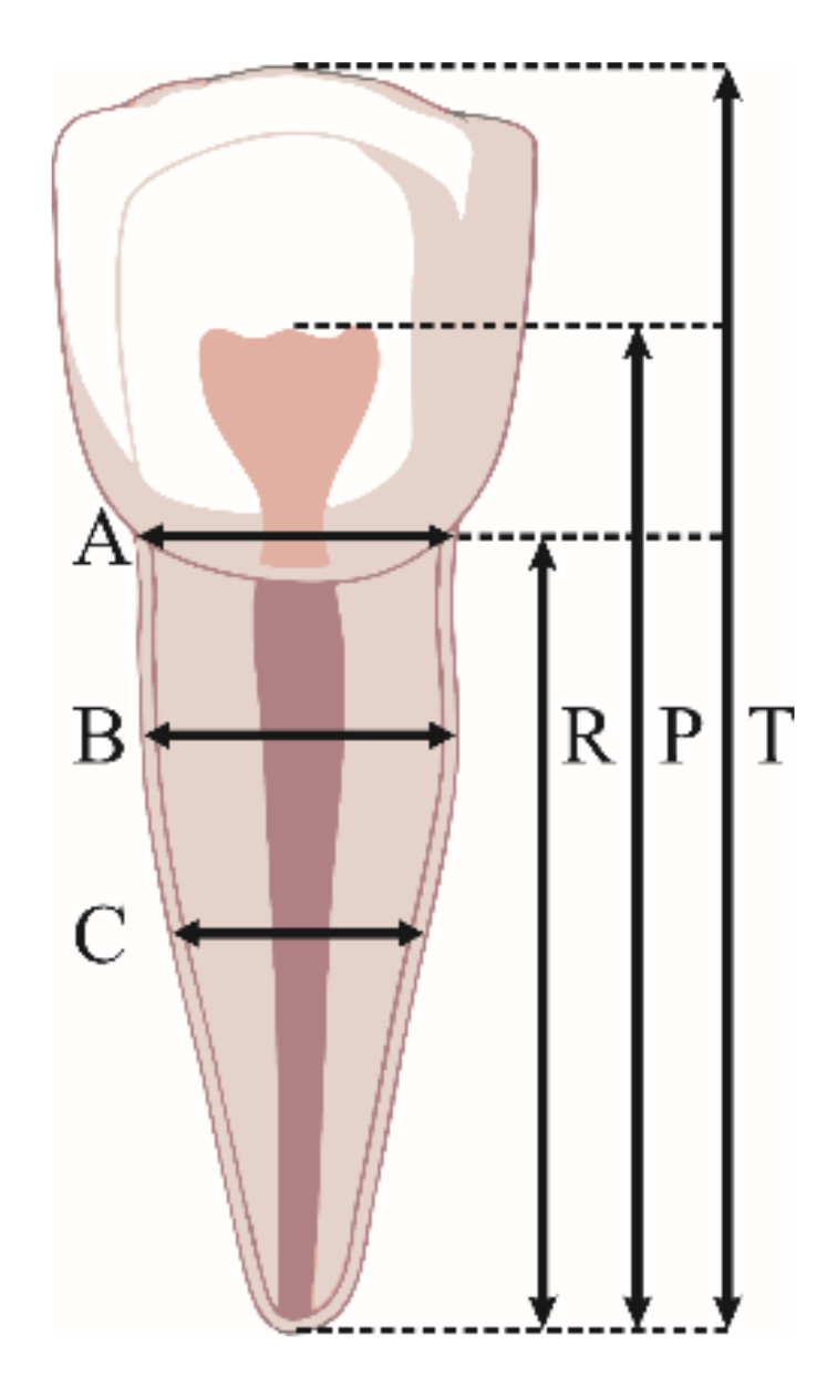 Diagnostics 12 00911 g002 550