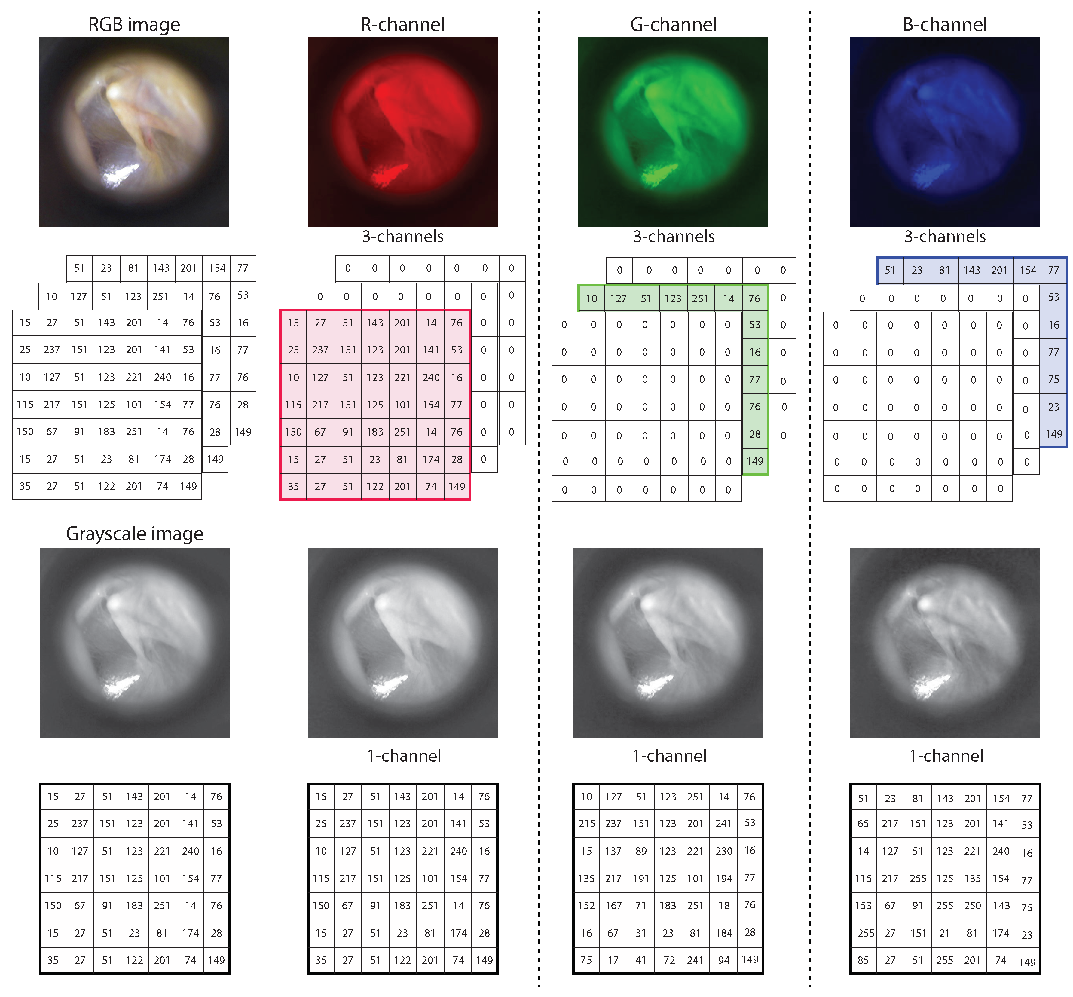 Diagnostics 12 00917 g002 550