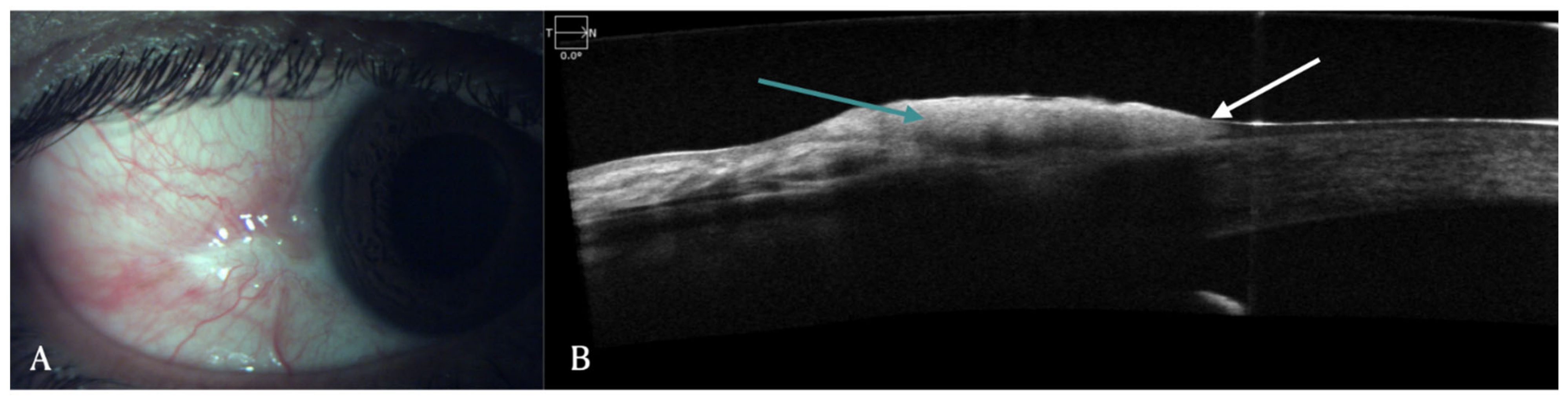 Diagnostics 12 00918 g001