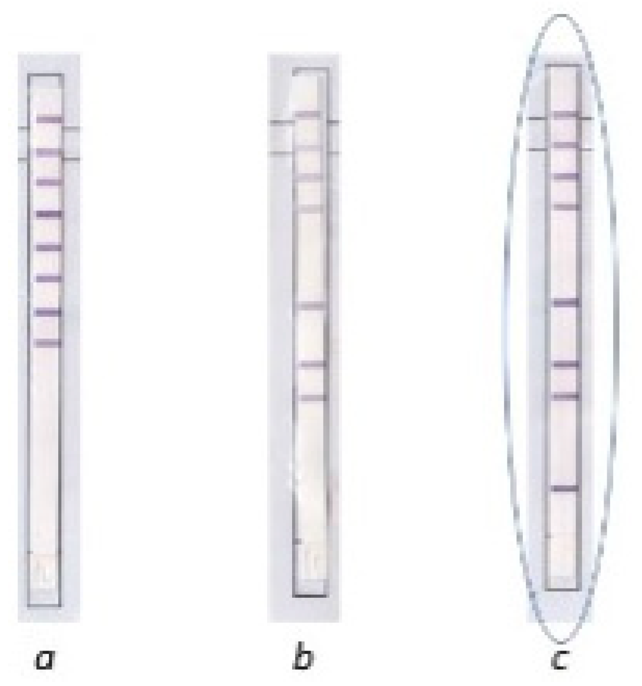 Diagnostics 12 00922 g004 550