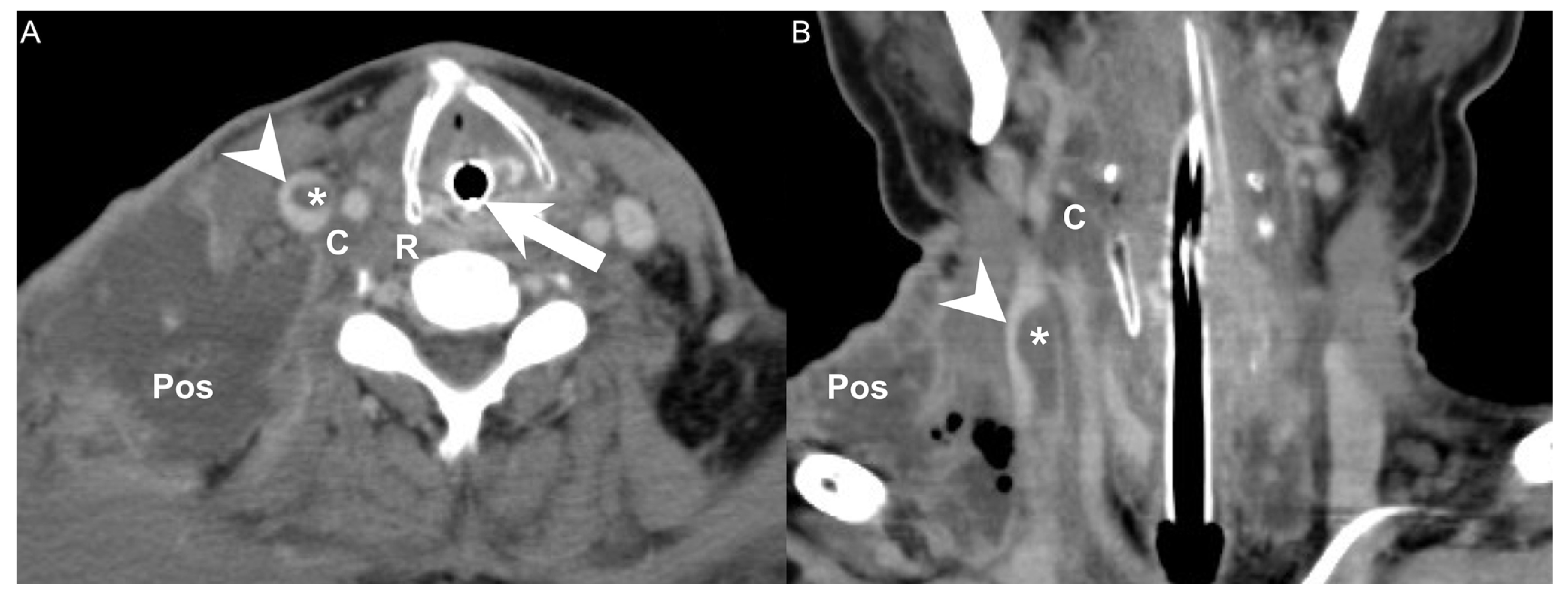 Diagnostics 12 00928 g001