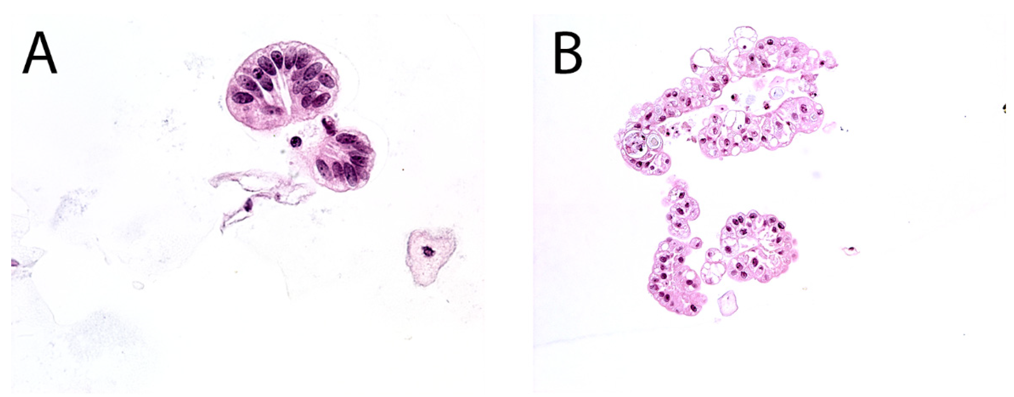 Diagnostics 12 00931 g005