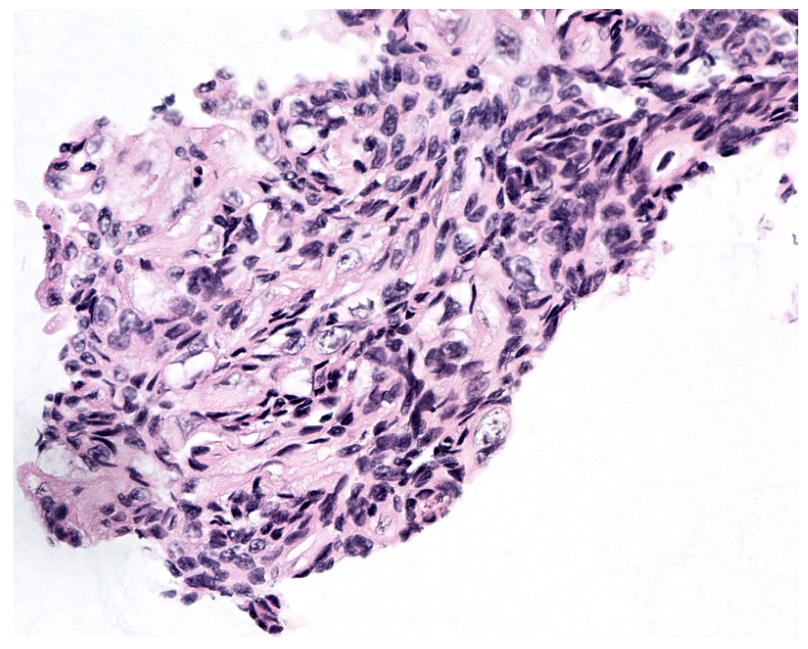 Diagnostics 12 00931 g006