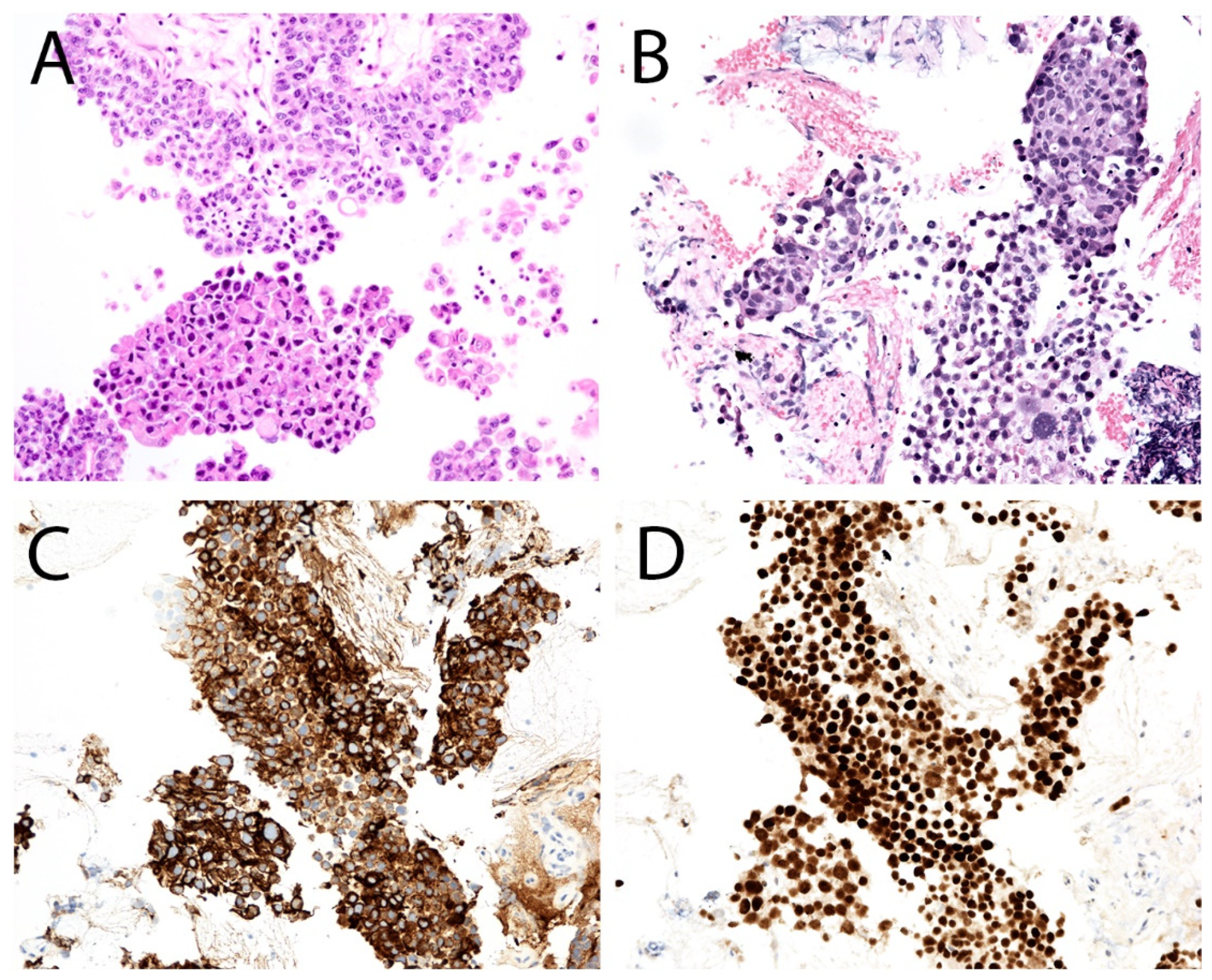 Diagnostics 12 00931 g008