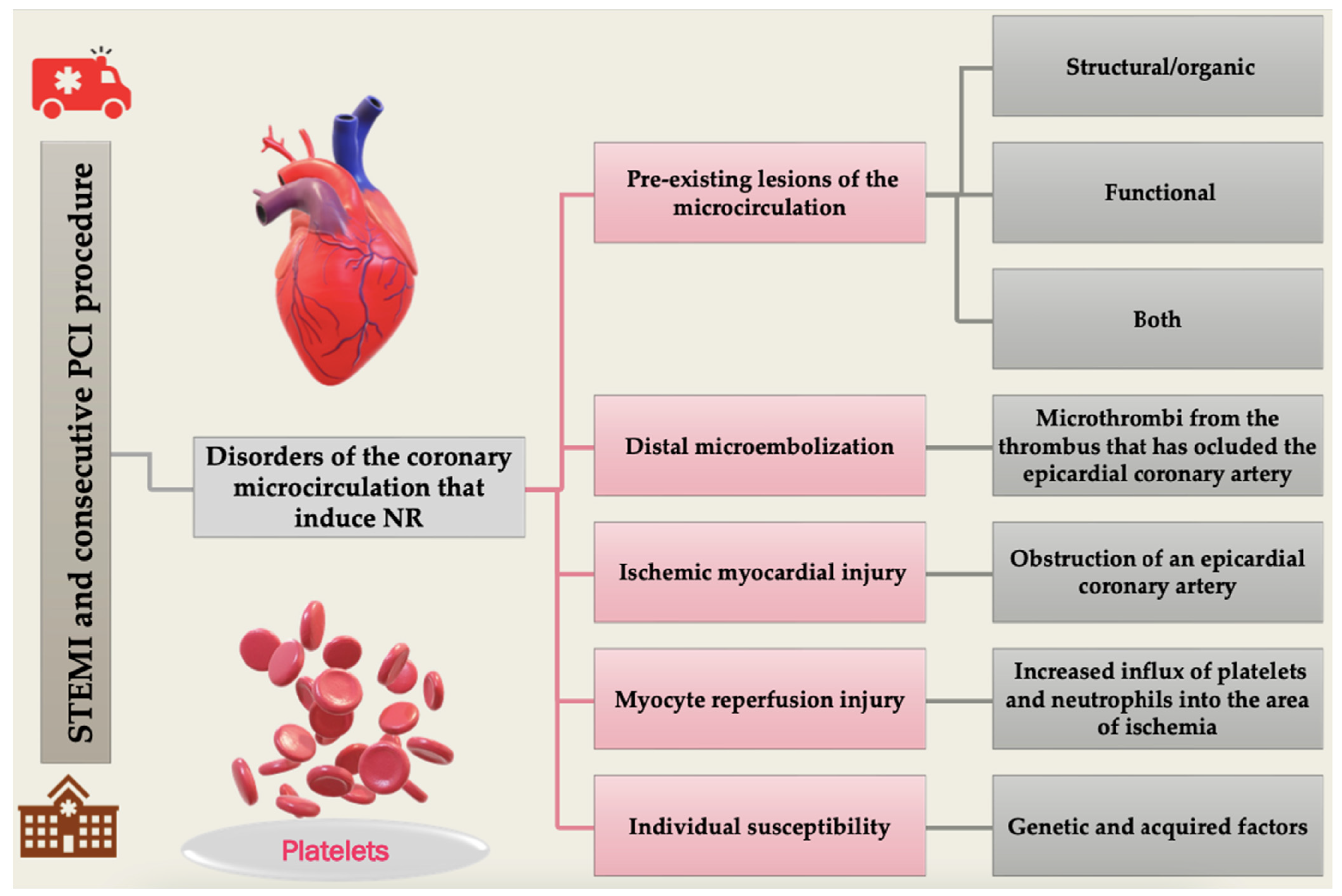 Diagnostics 12 00932 g002