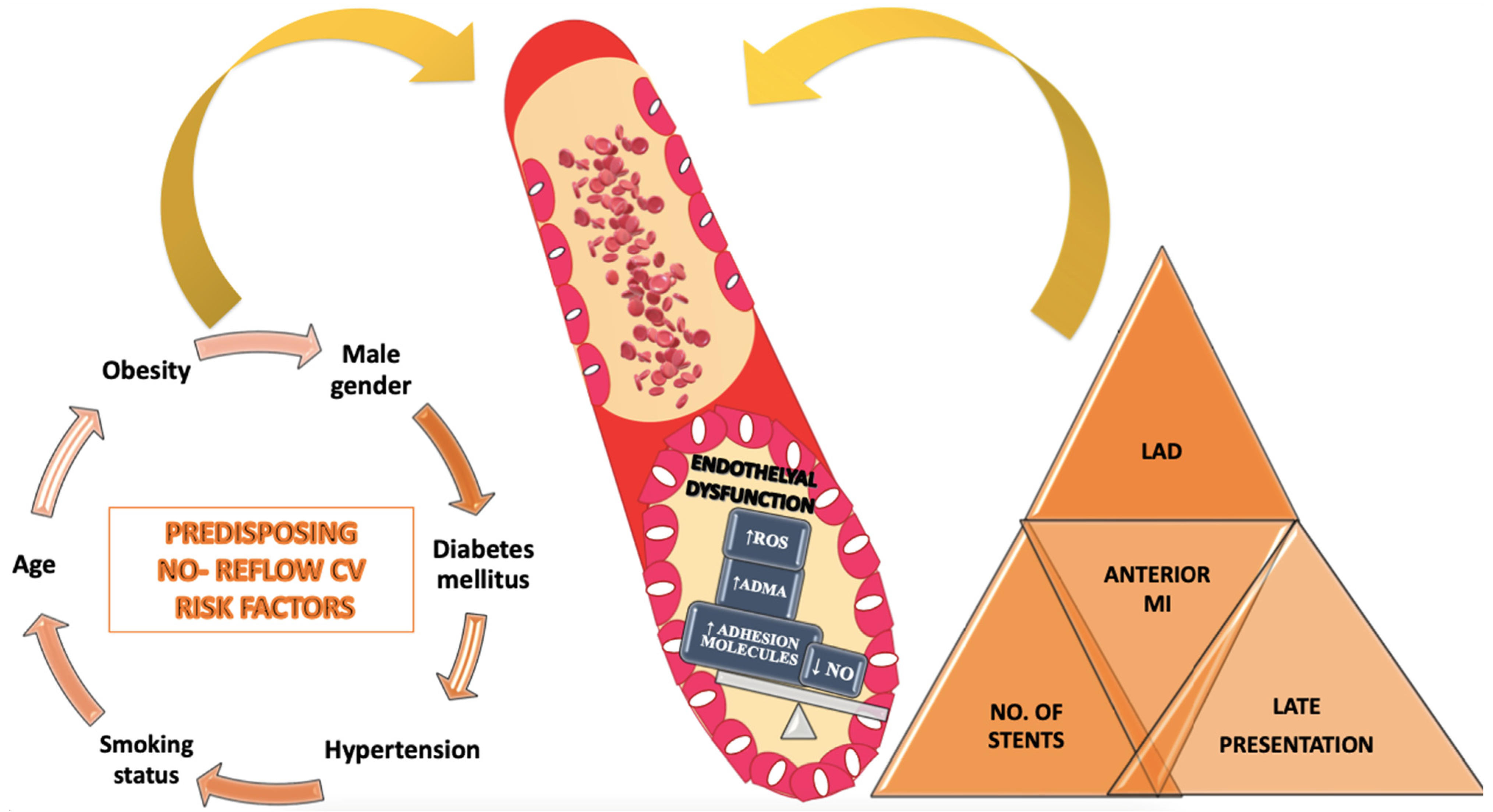 Diagnostics 12 00932 g003