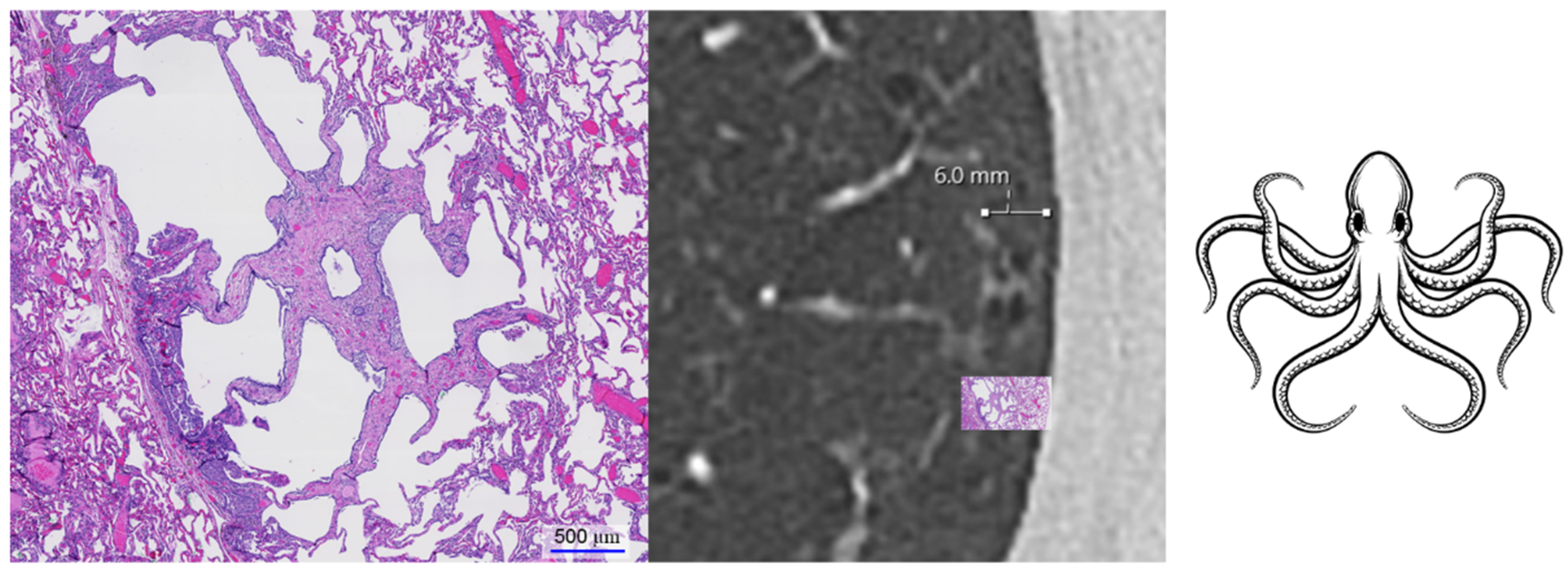 Diagnostics 12 00937 g001 550