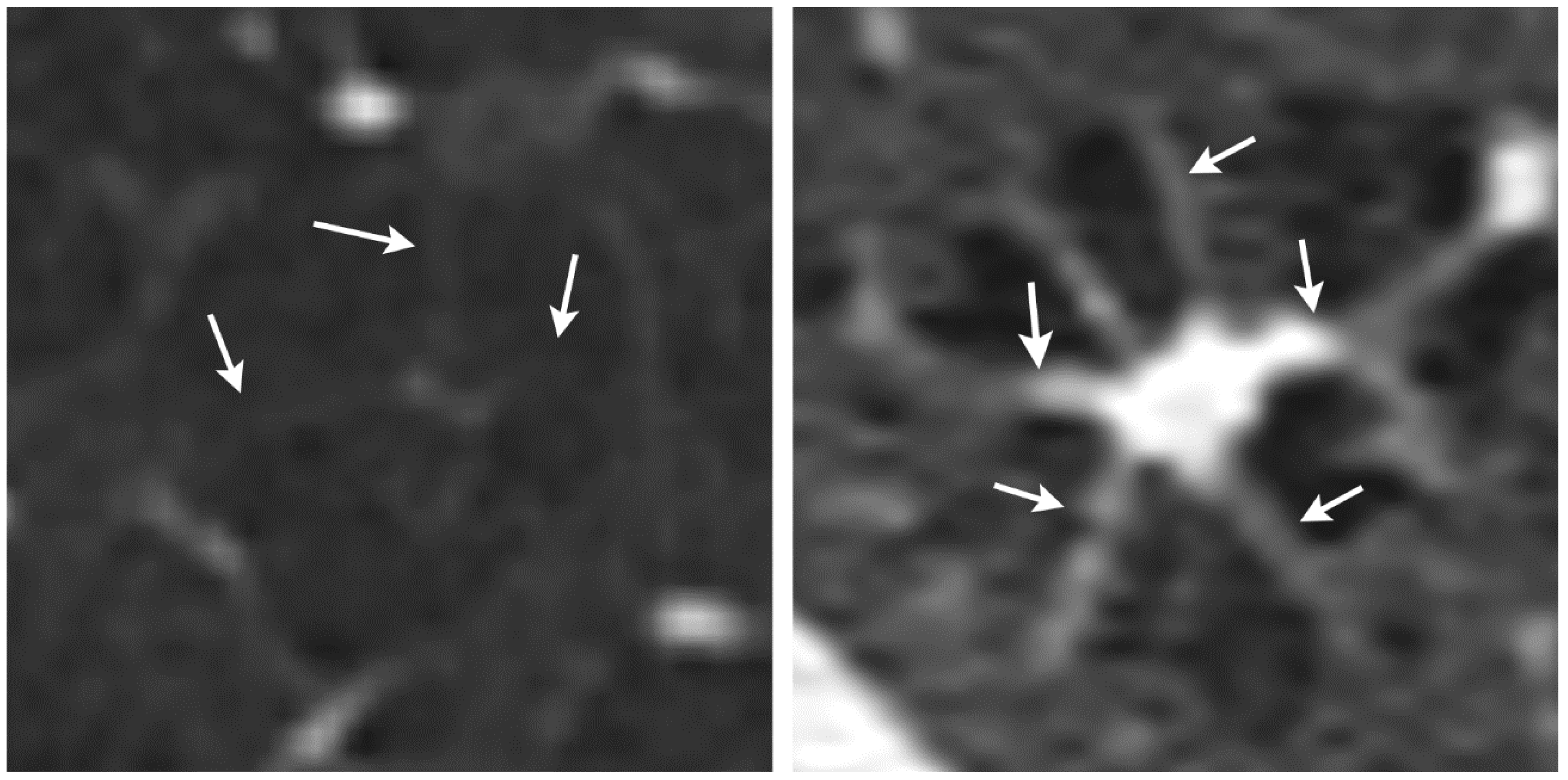 Diagnostics 12 00937 g003 550