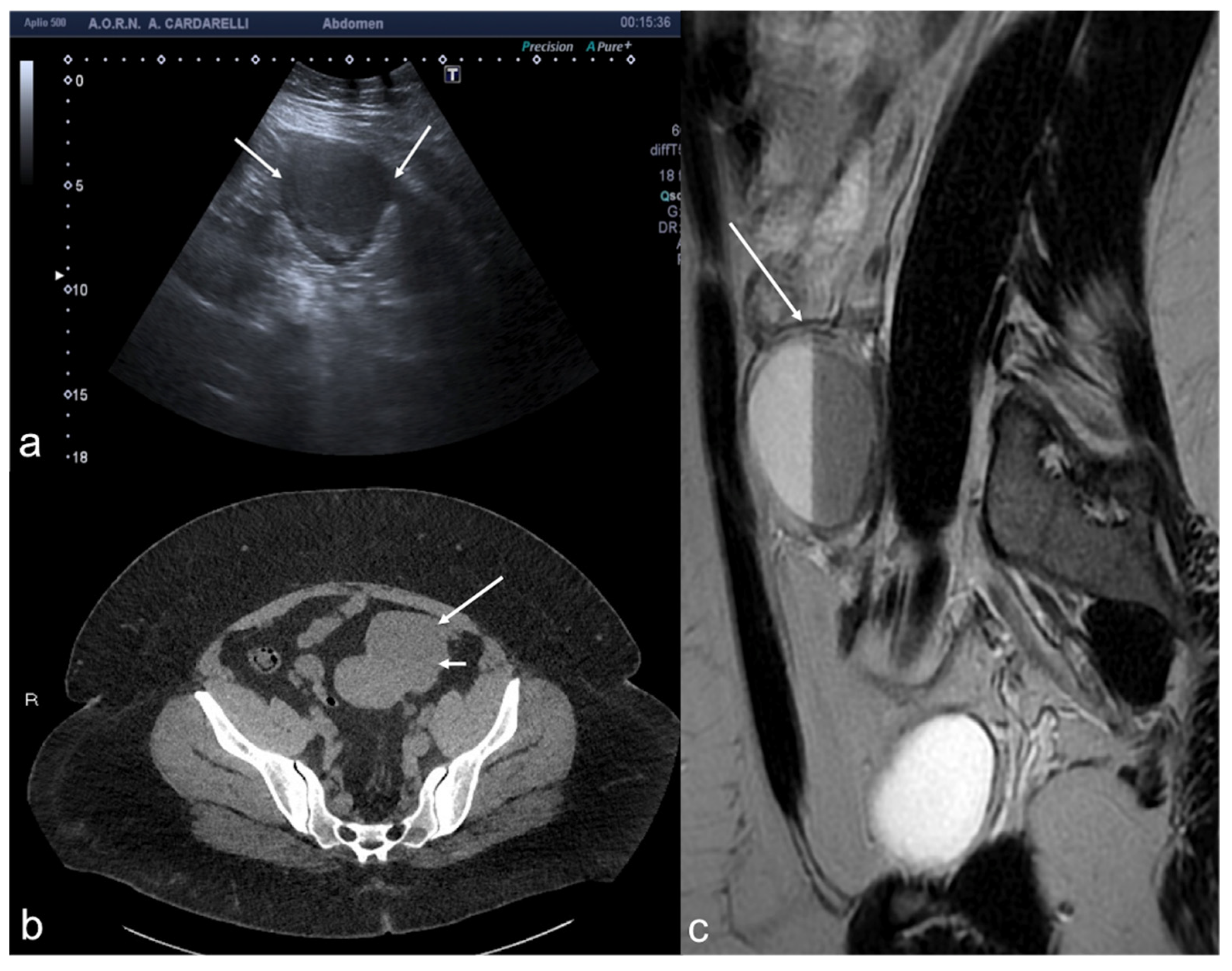 Diagnostics 12 00939 g008
