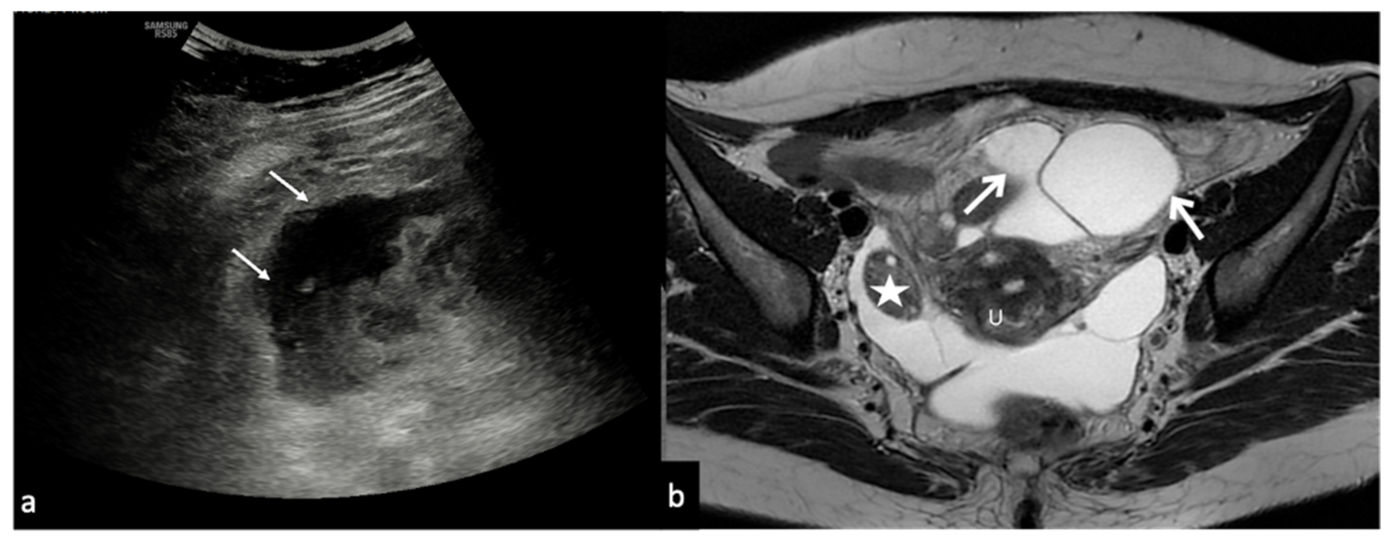 Diagnostics 12 00939 g010