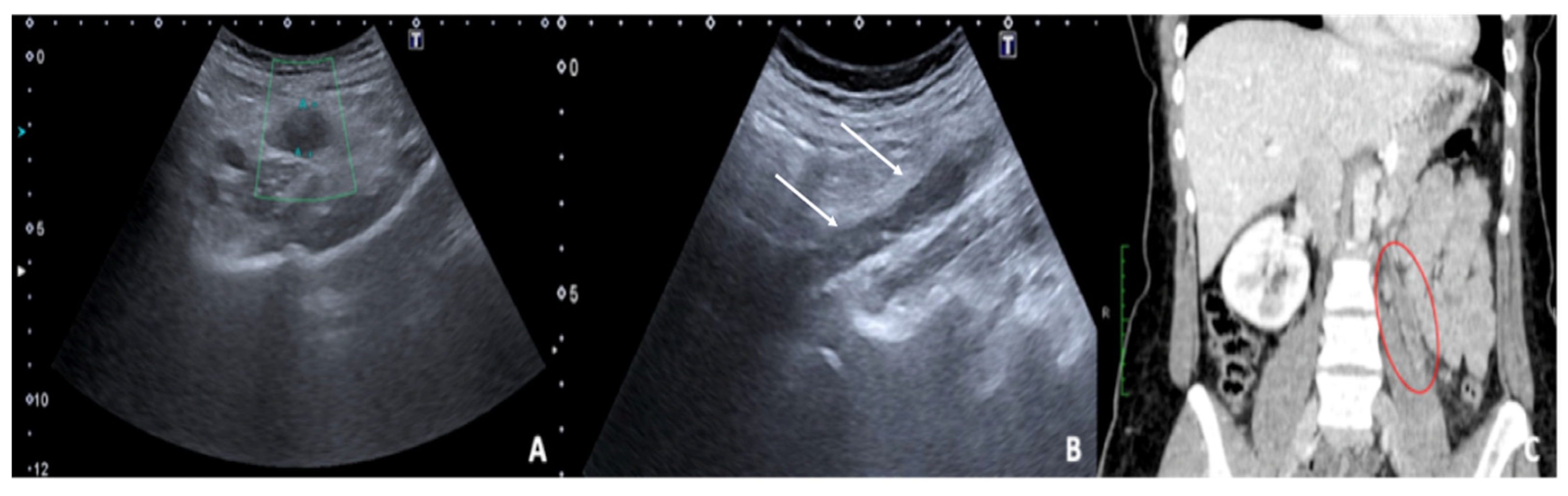 Diagnostics 12 00939 g016