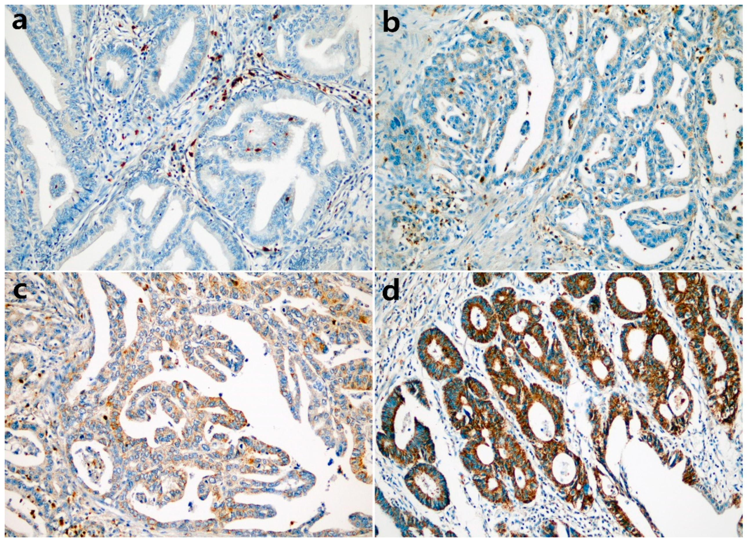 Diagnostics 12 00941 g001 Diagnostics 12 00941 g001