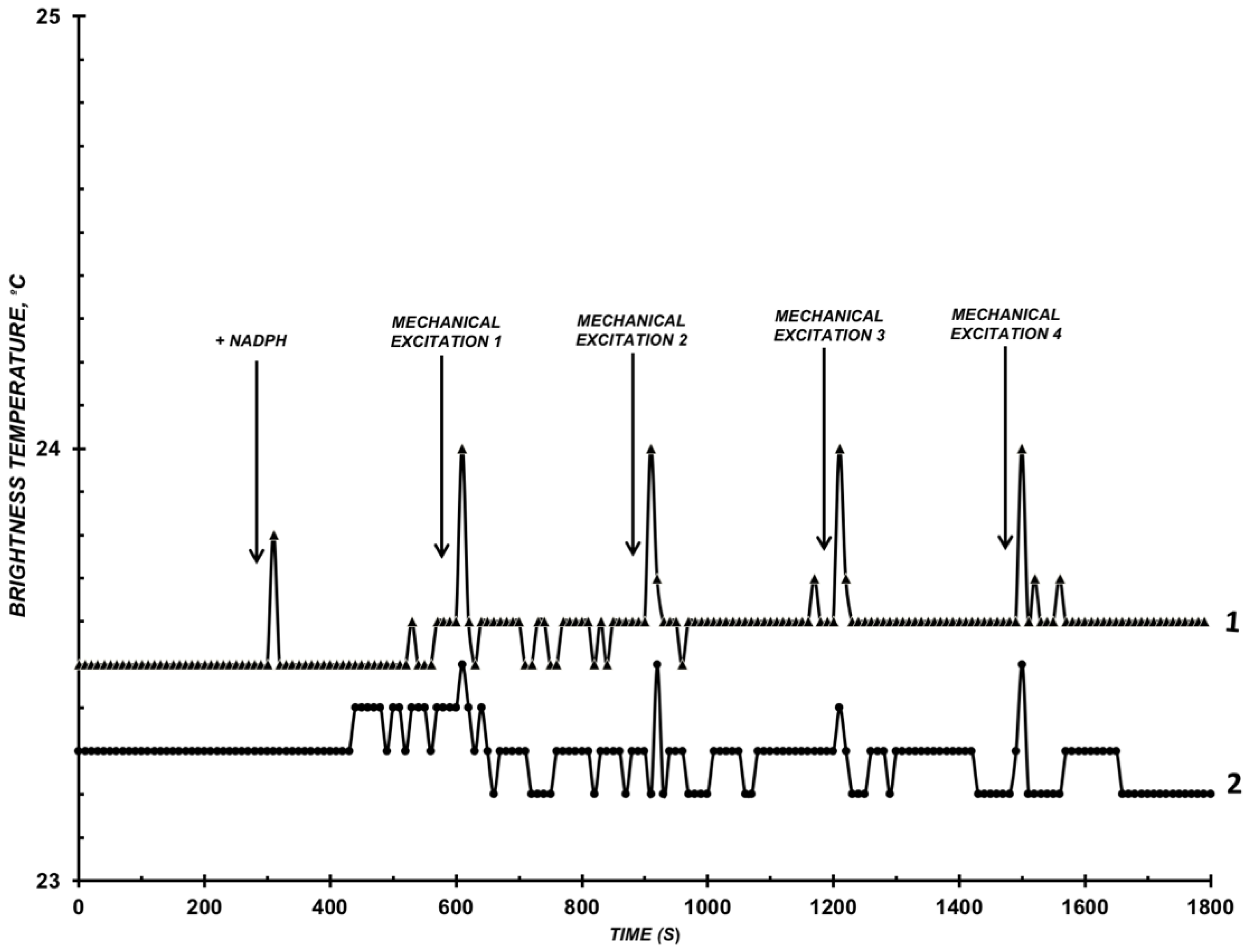 Diagnostics 12 00943 g002
