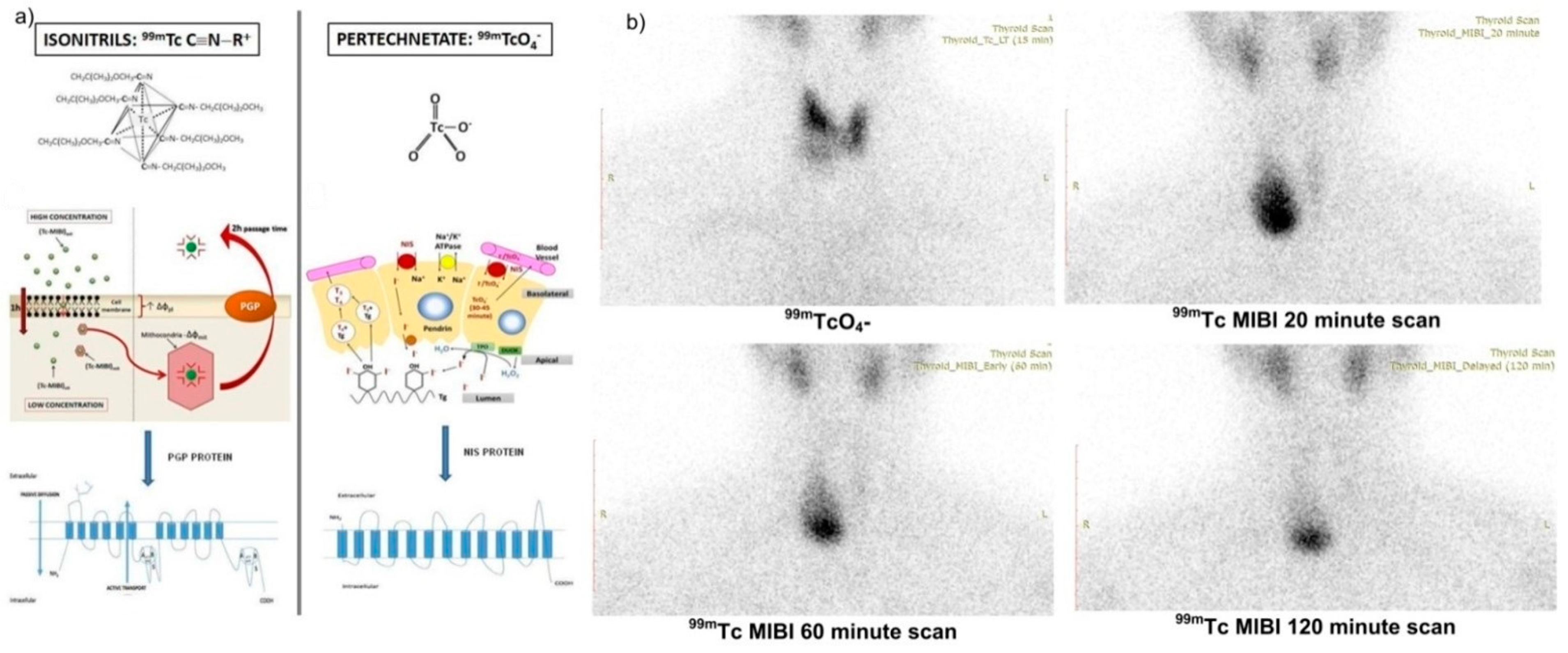 Diagnostics 12 00944 g003 550