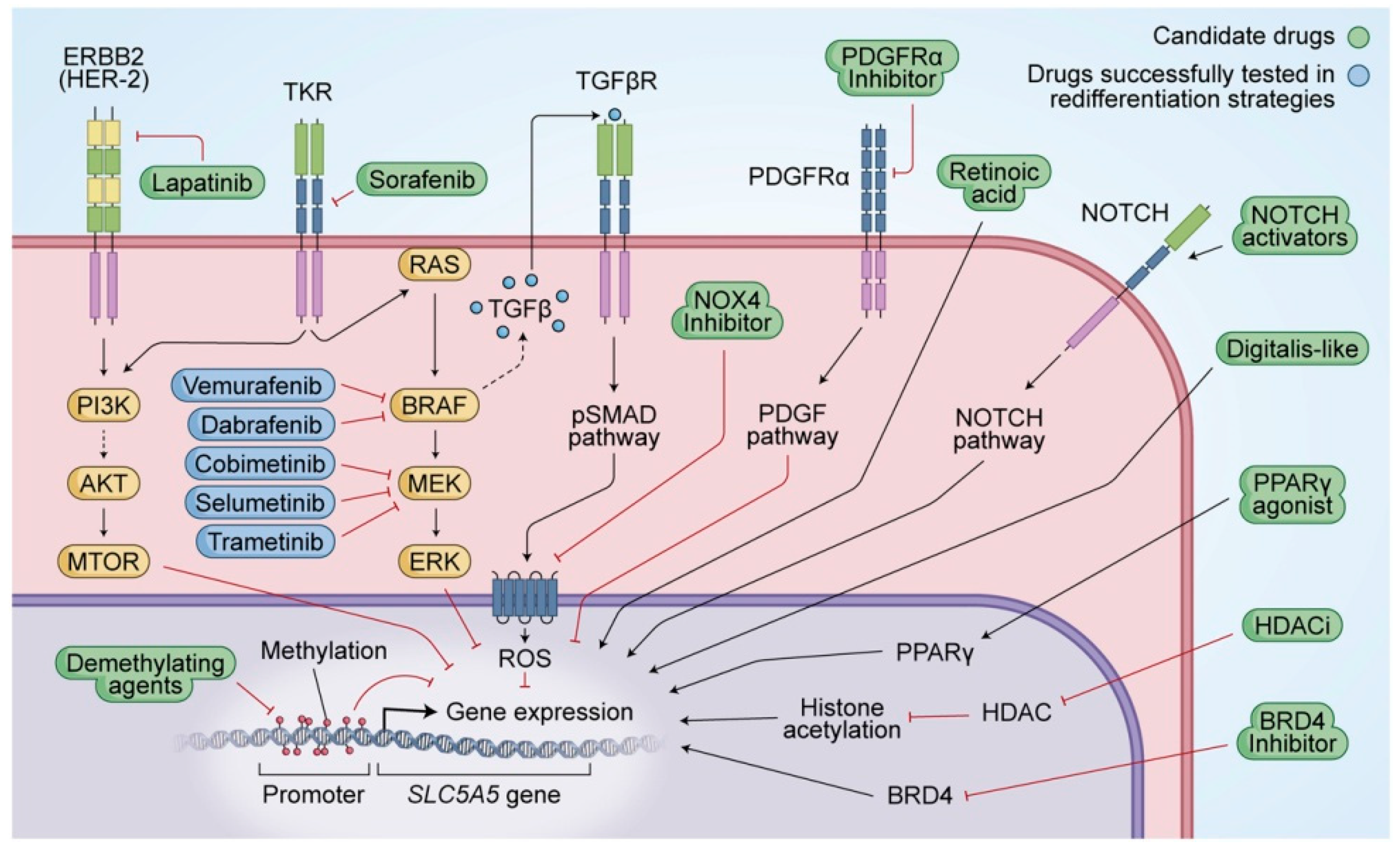 Diagnostics 12 00944 g004 550