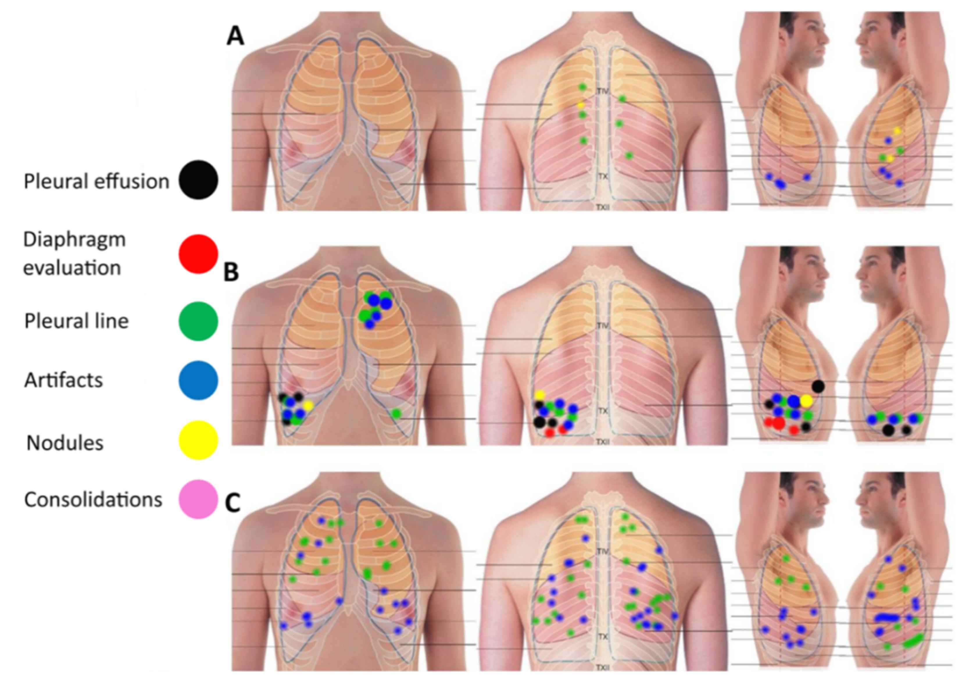 Diagnostics 12 00952 g001 550