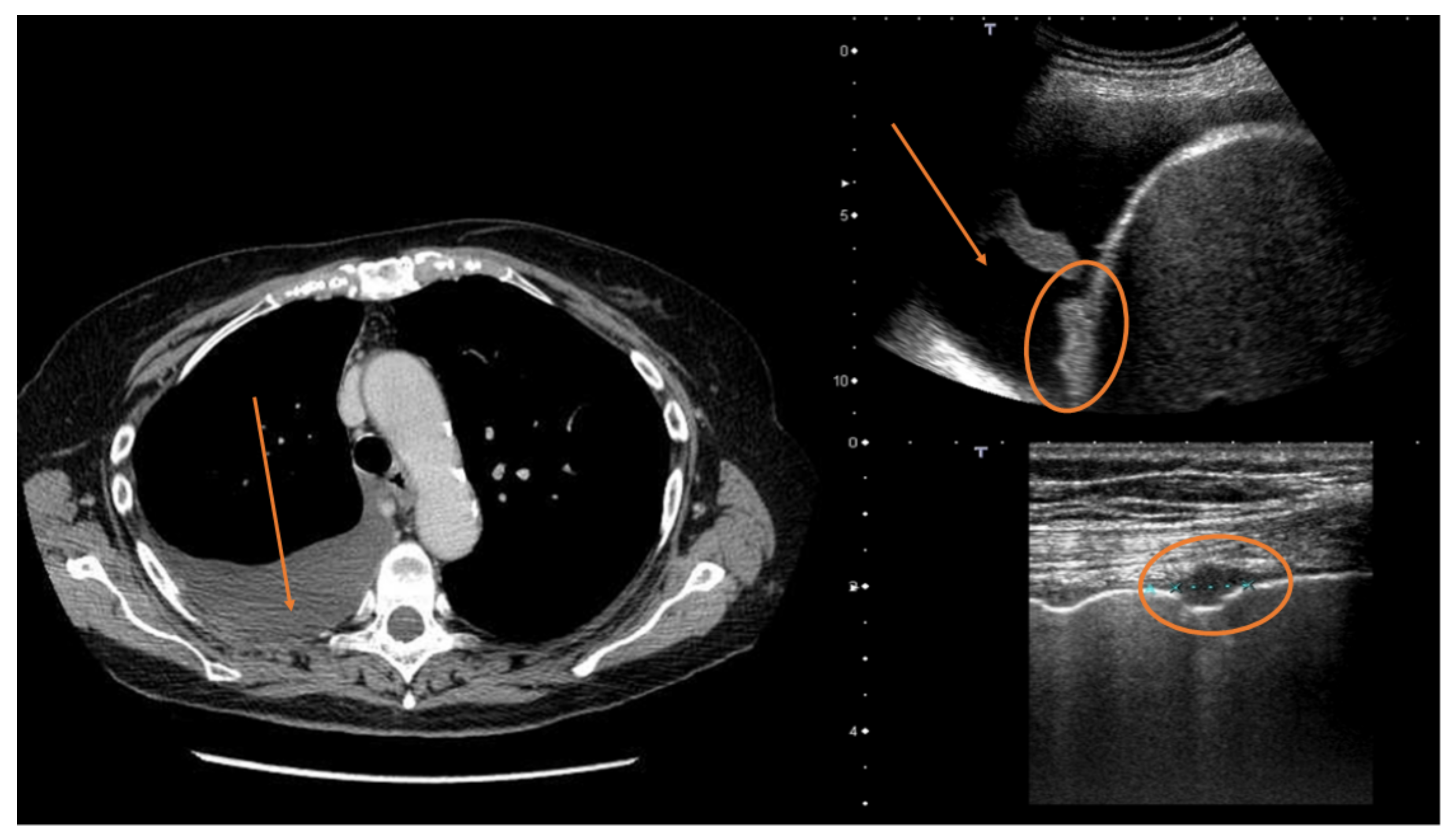 Diagnostics 12 00952 g006 550