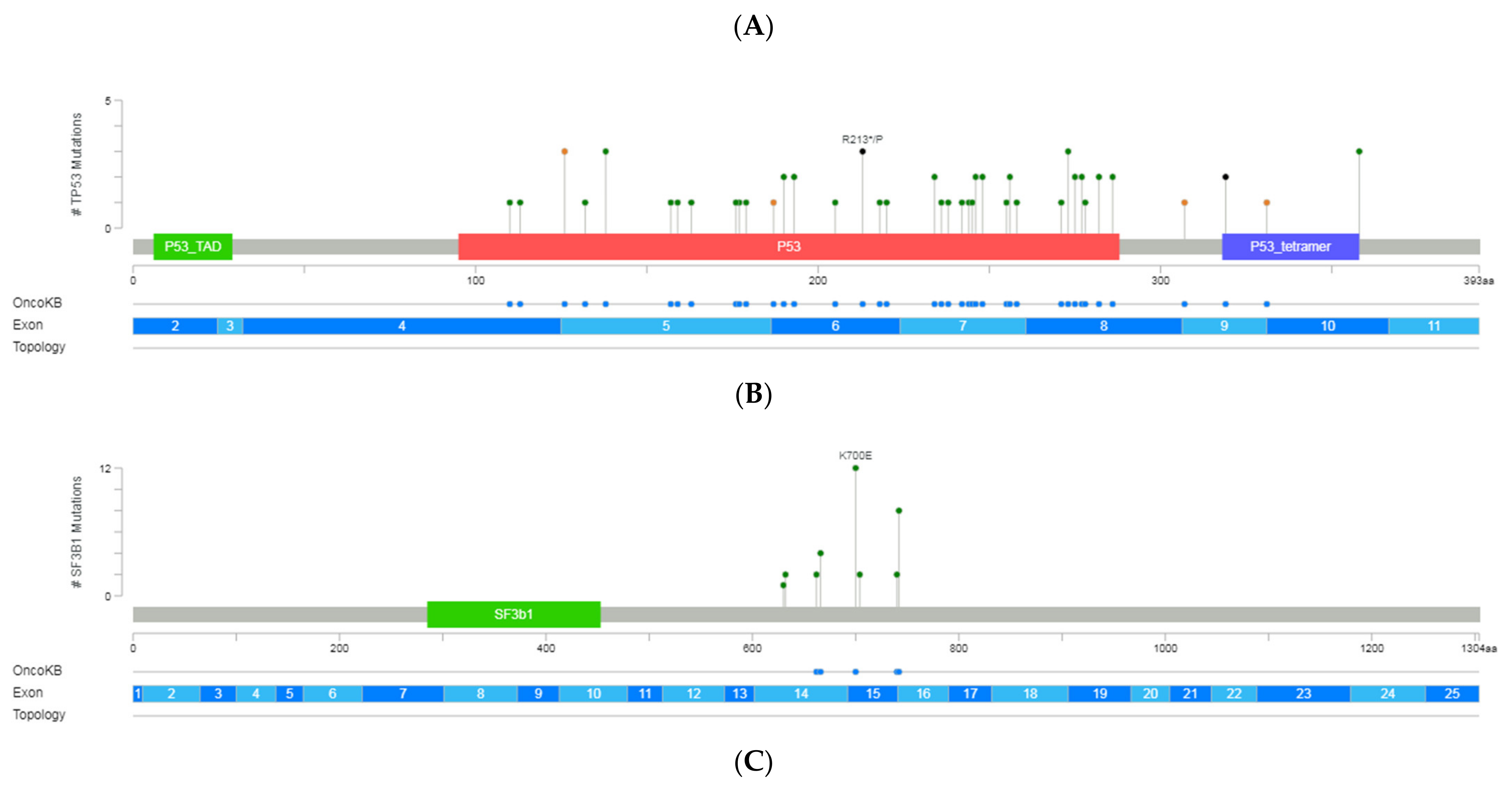 Diagnostics 12 00953 g002a 550