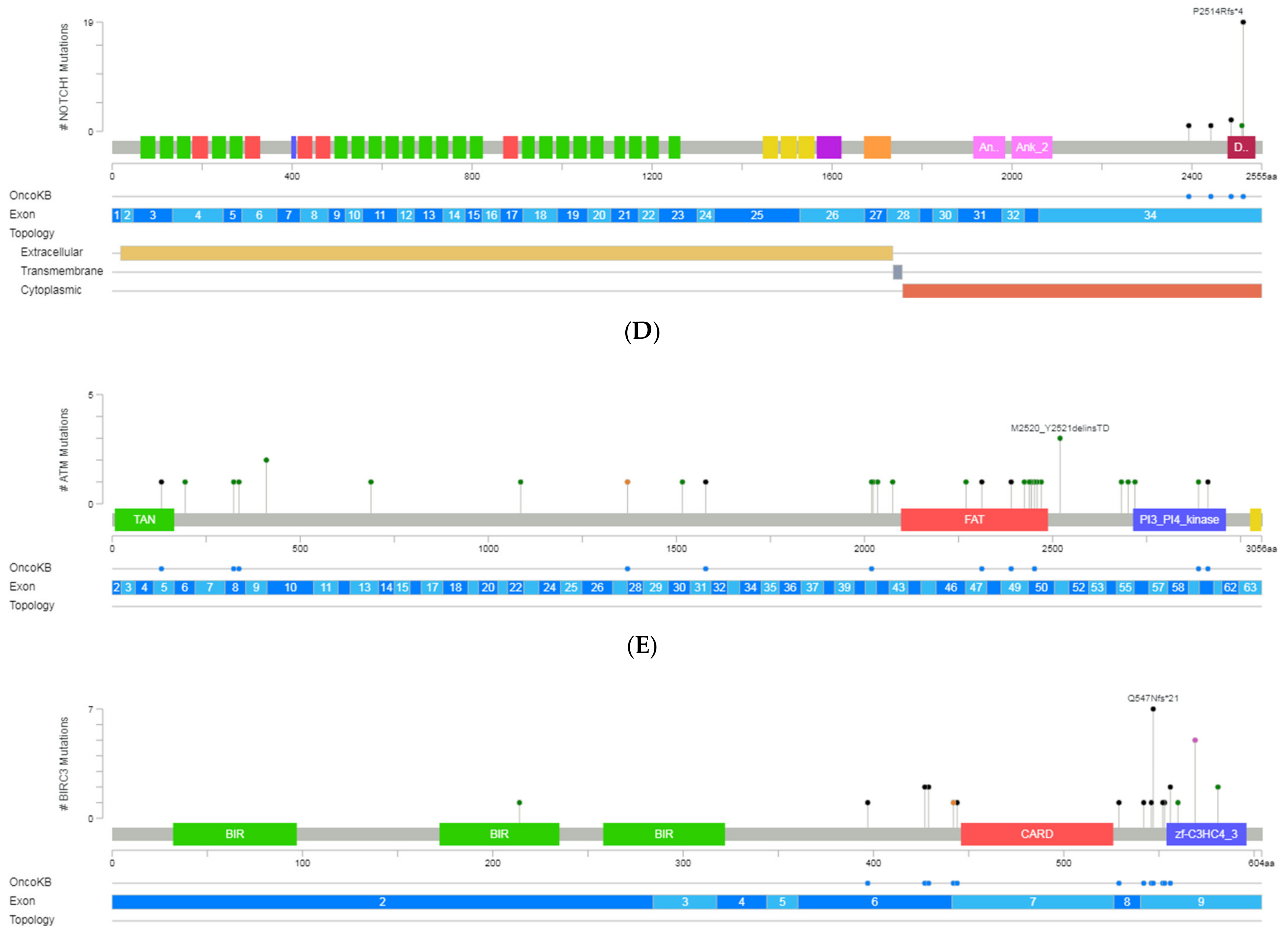 Diagnostics 12 00953 g002b 550