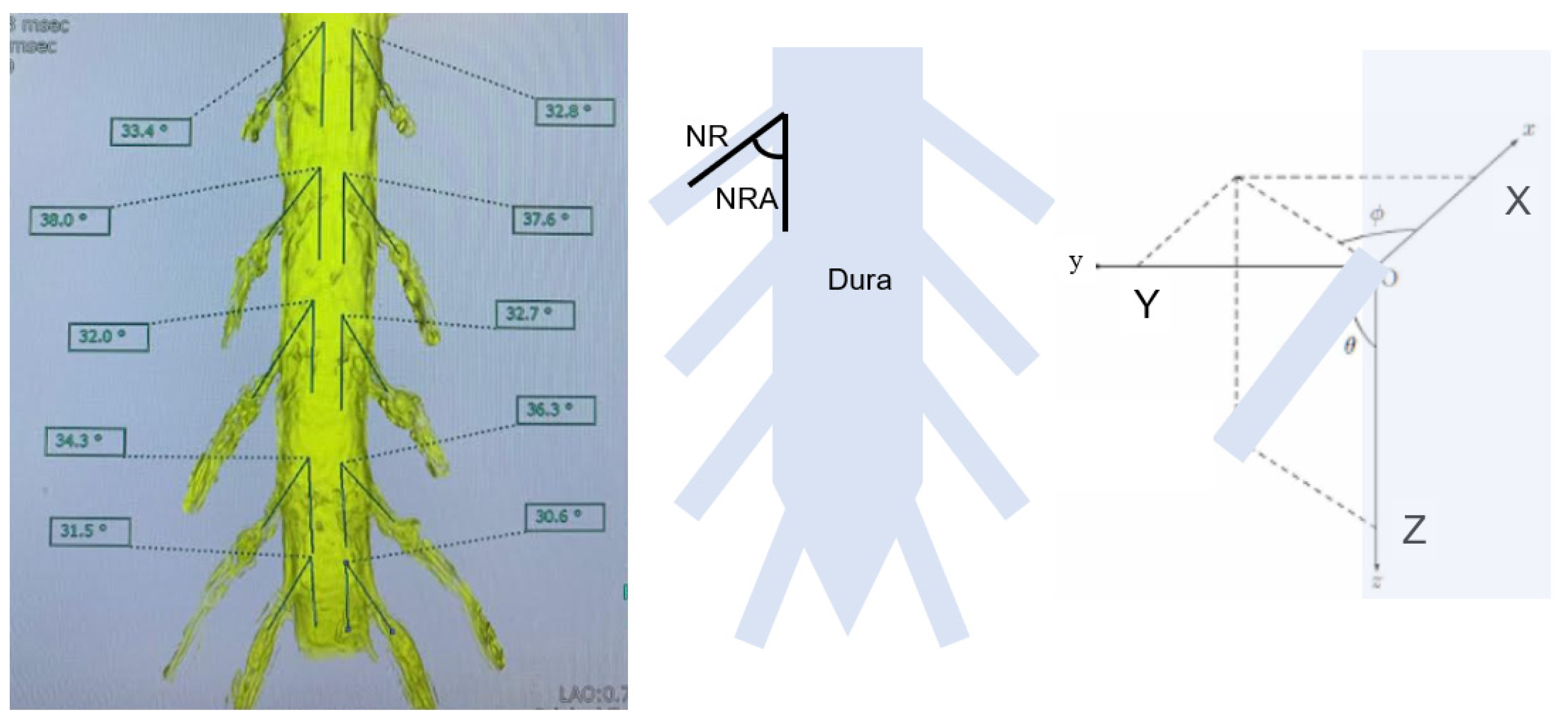 Diagnostics 12 00956 g003