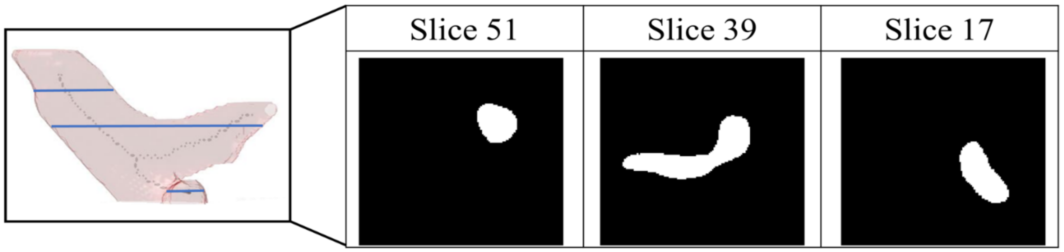 Diagnostics 12 00967 g007 Diagnostics 12 00967 g007