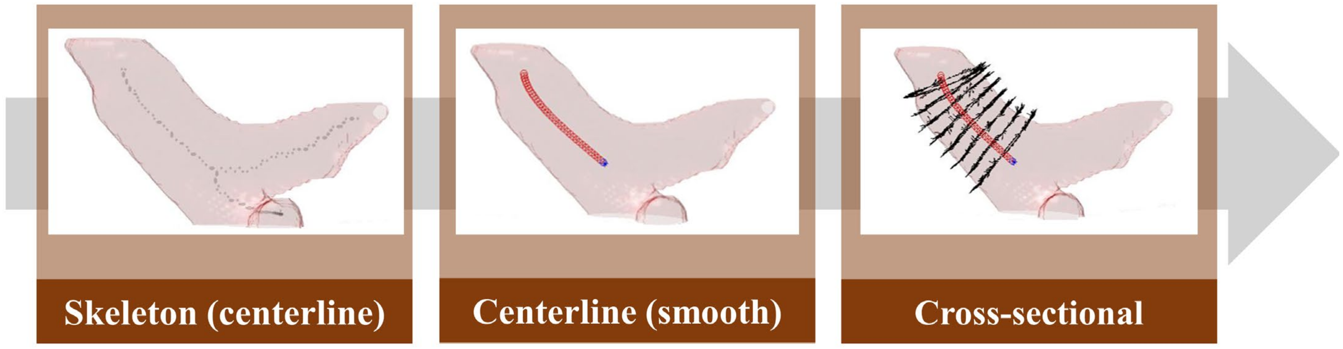 Diagnostics 12 00967 g011 Diagnostics 12 00967 g011
