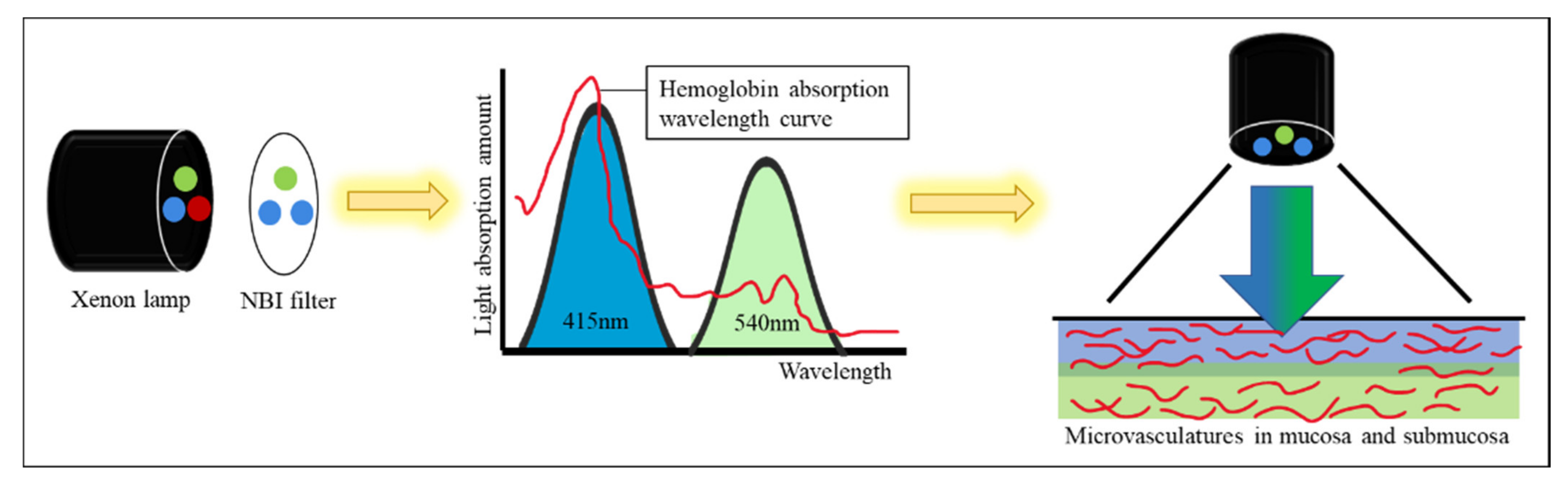 Diagnostics 12 00968 g001