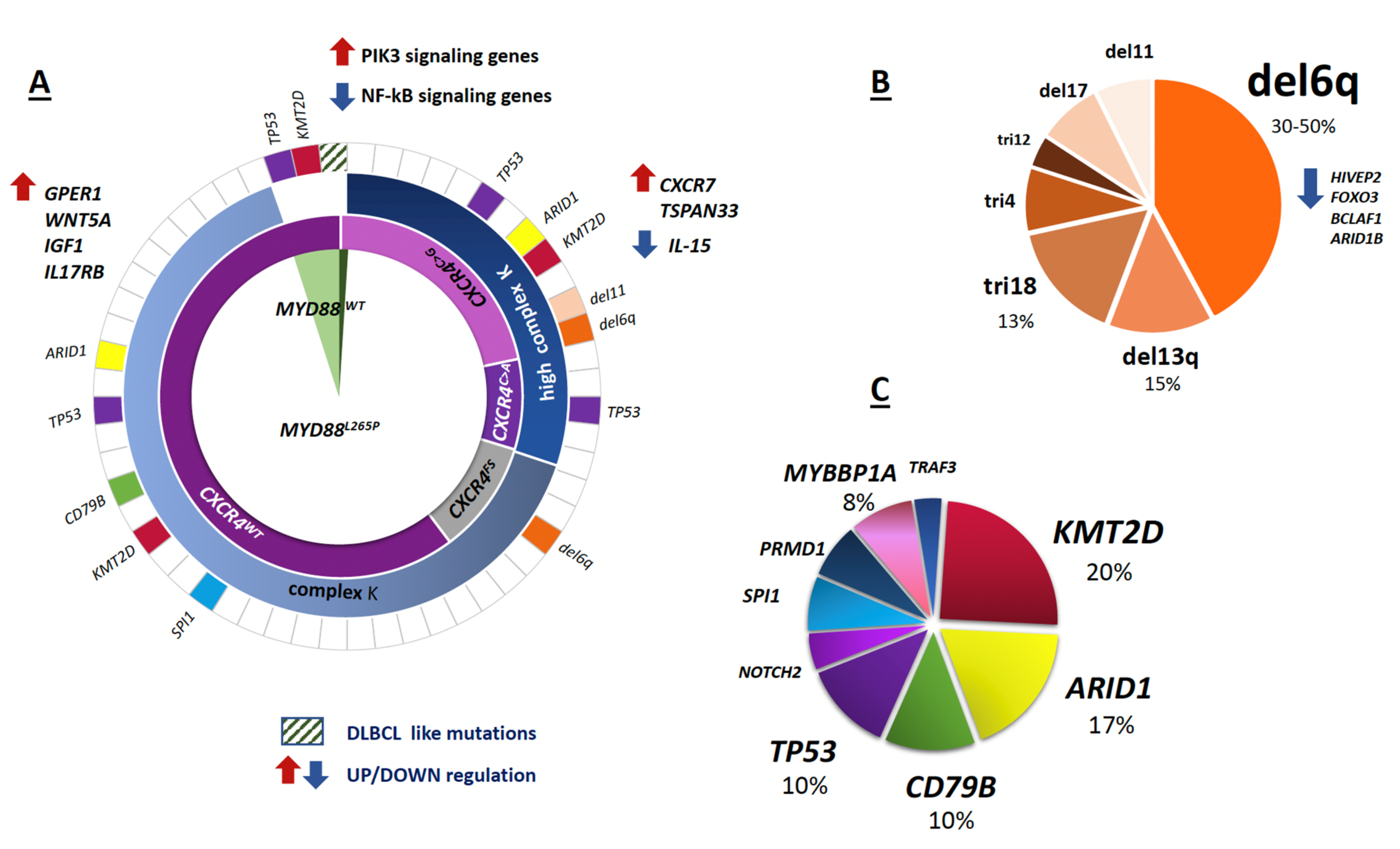 Diagnostics 12 00969 g002