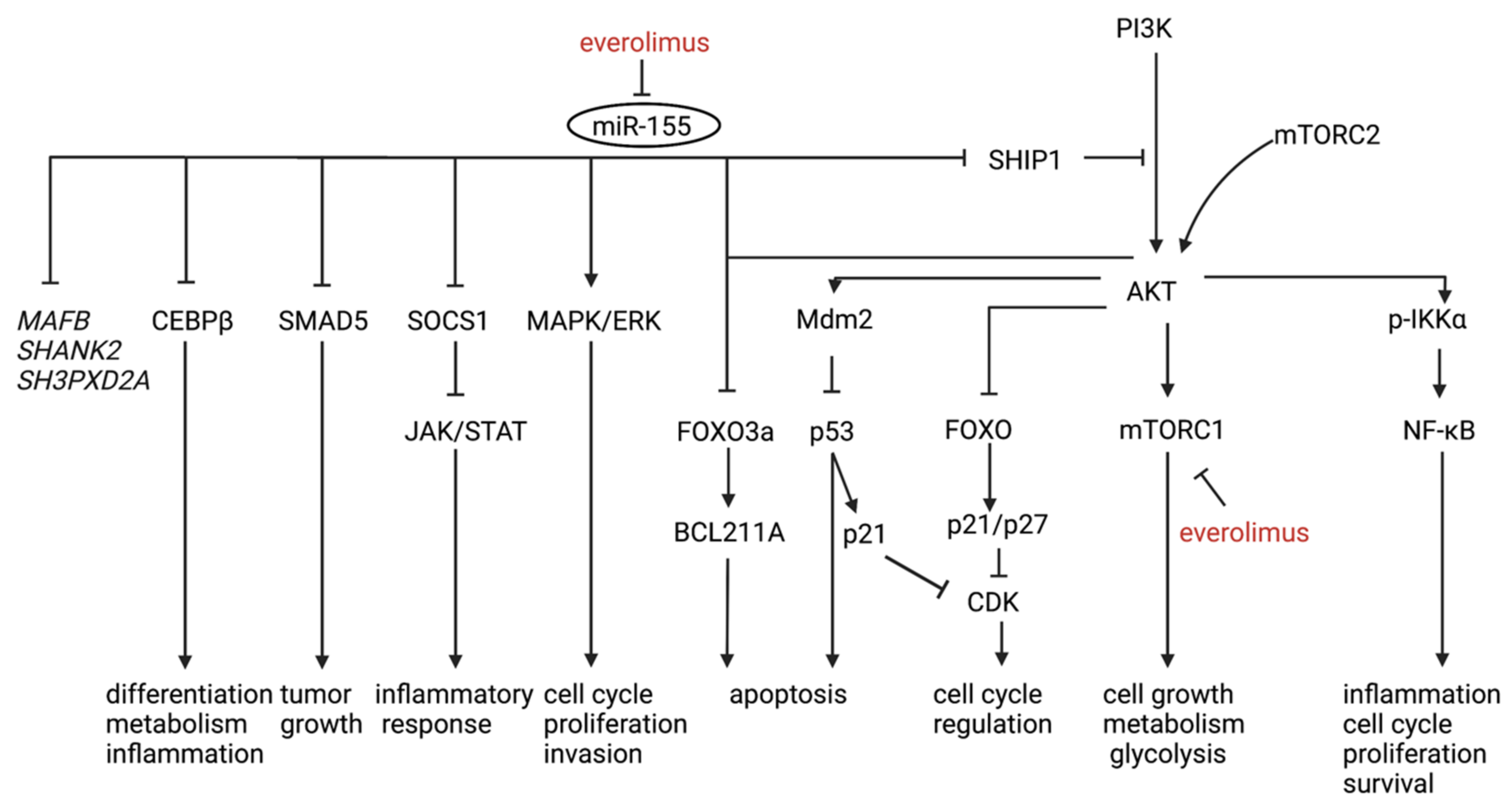 Diagnostics 12 00969 g003