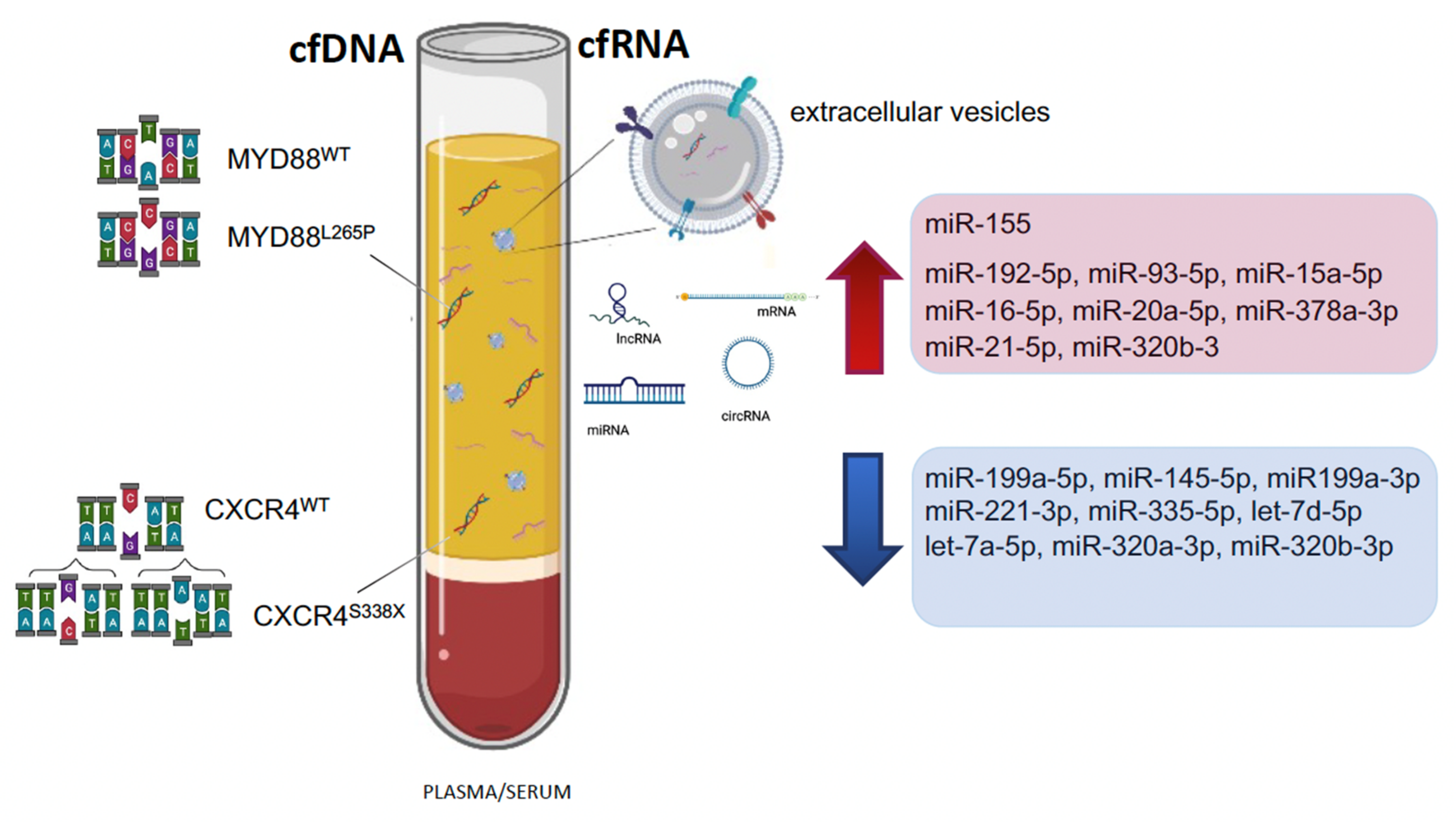 Diagnostics 12 00969 g004