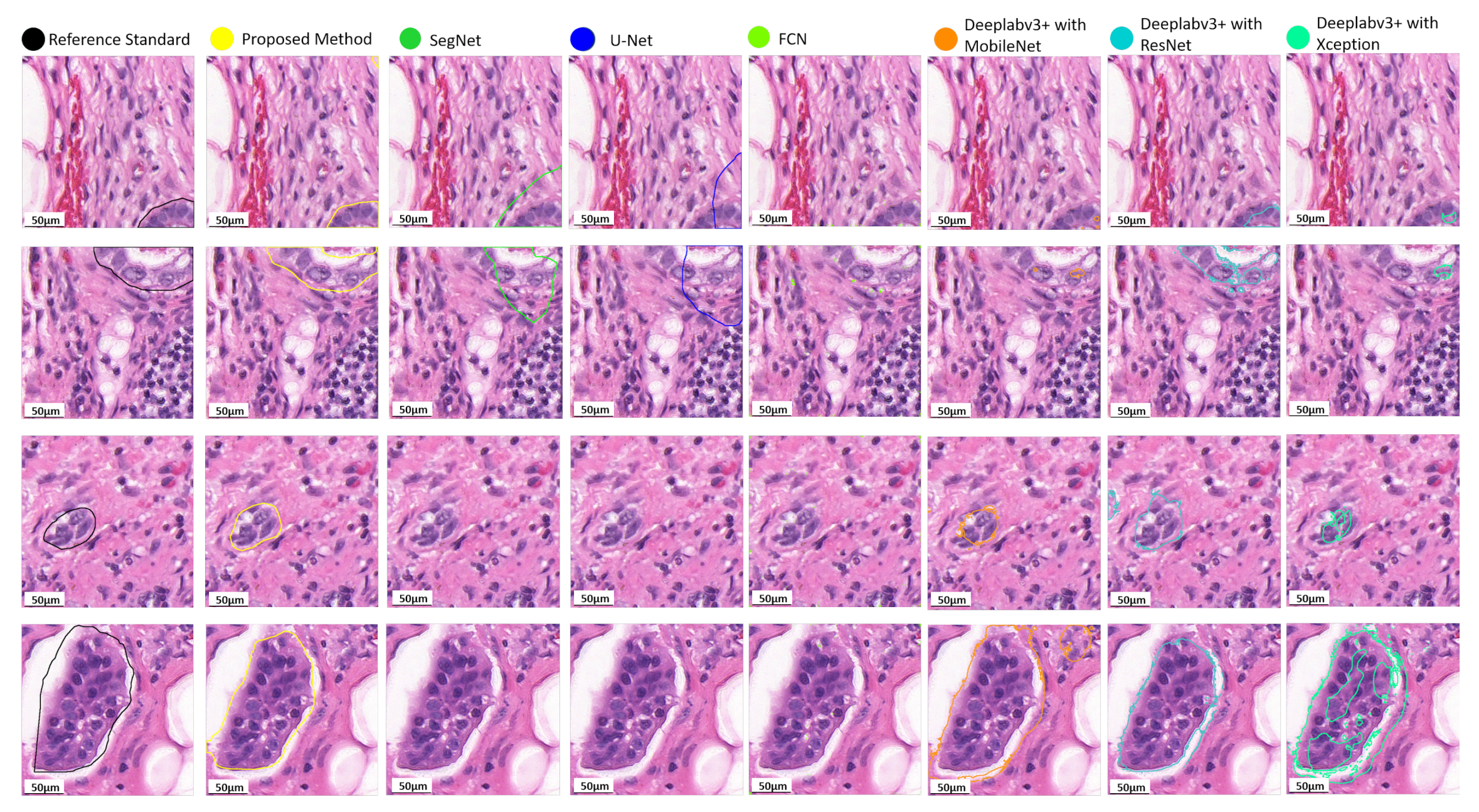 Diagnostics 12 00990 g006