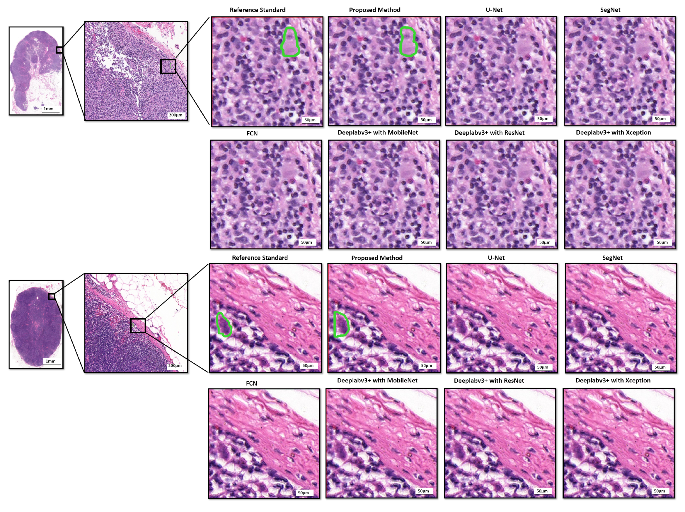 Diagnostics 12 00990 g007